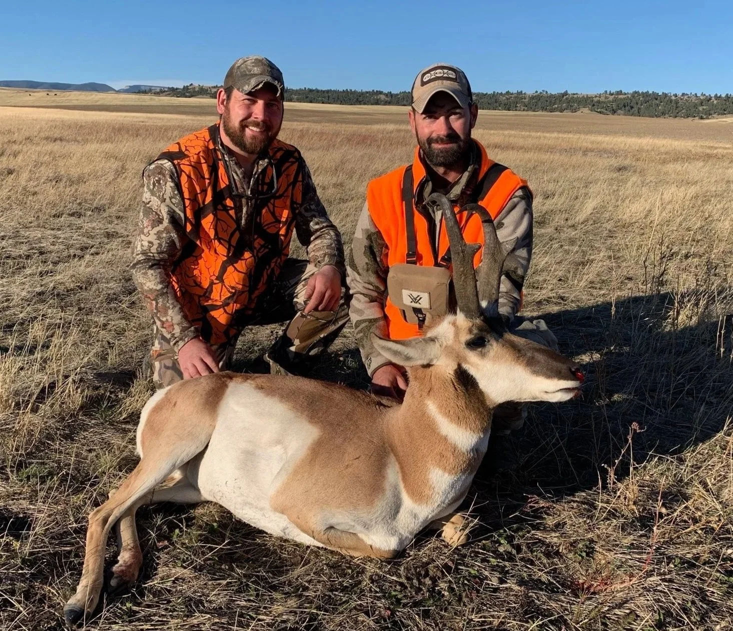 Great pronghorn and antelope hunting in central Montana