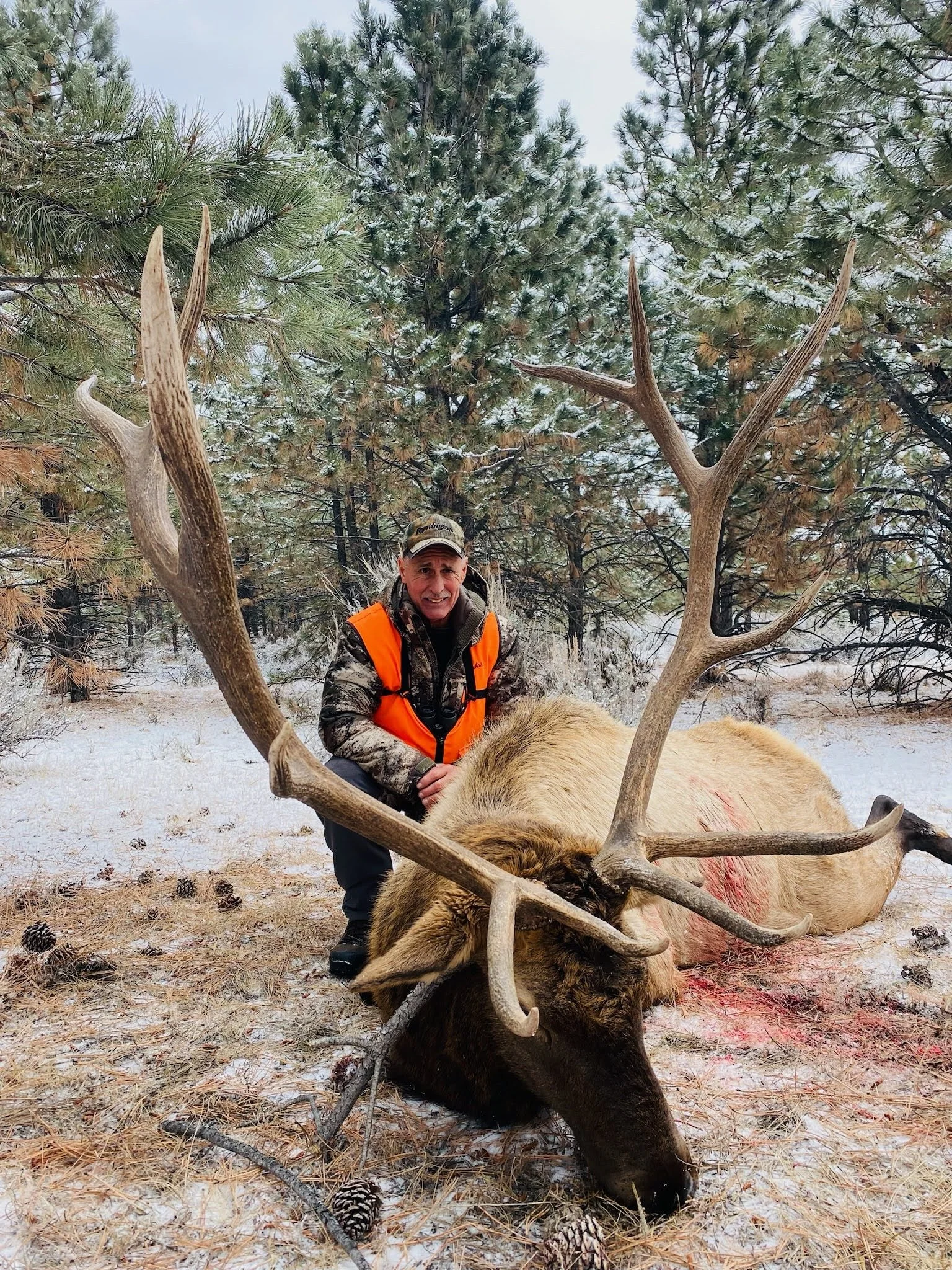 Huge elk antlers in Montana