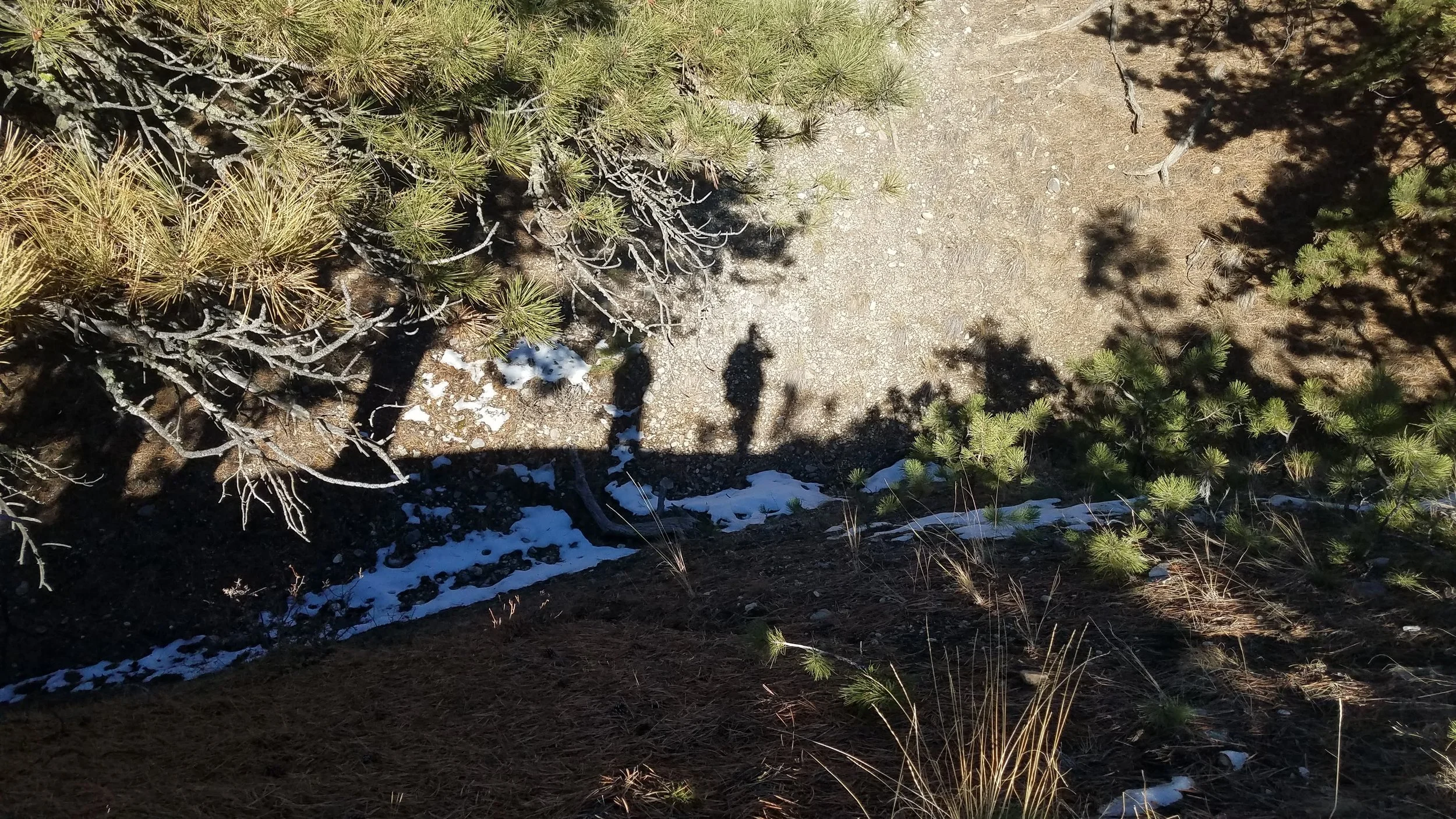 Shadow of a person taking a photo on a rocky dirt trail surrounded by pine trees, with patches of snow on the ground.