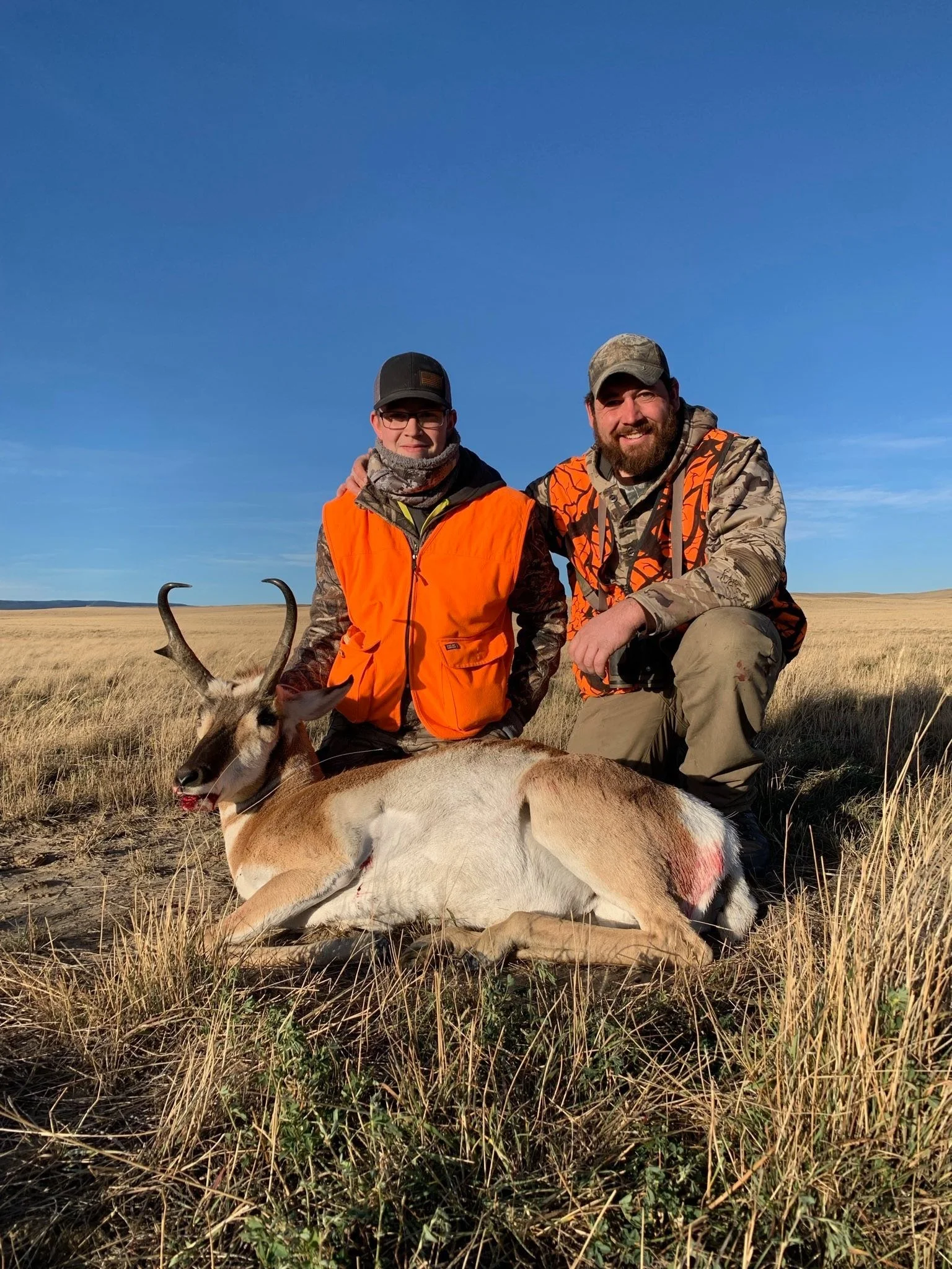 Two hunters in camouflage and orange vests kneeling next to a sitting pronghorn antelope in an open grassland under a clear blue sky.