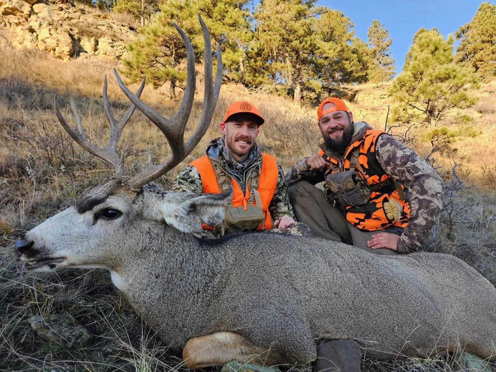 Two hunters with a large mountain lion in a wilderness area, both wearing camouflage and orange hunting gear, kneeling beside the animal.