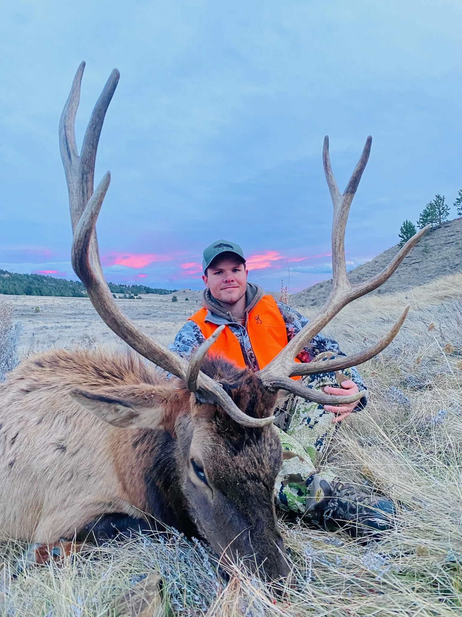 Trophy elk hunt combination with deer or antelope rifle or bow and archery