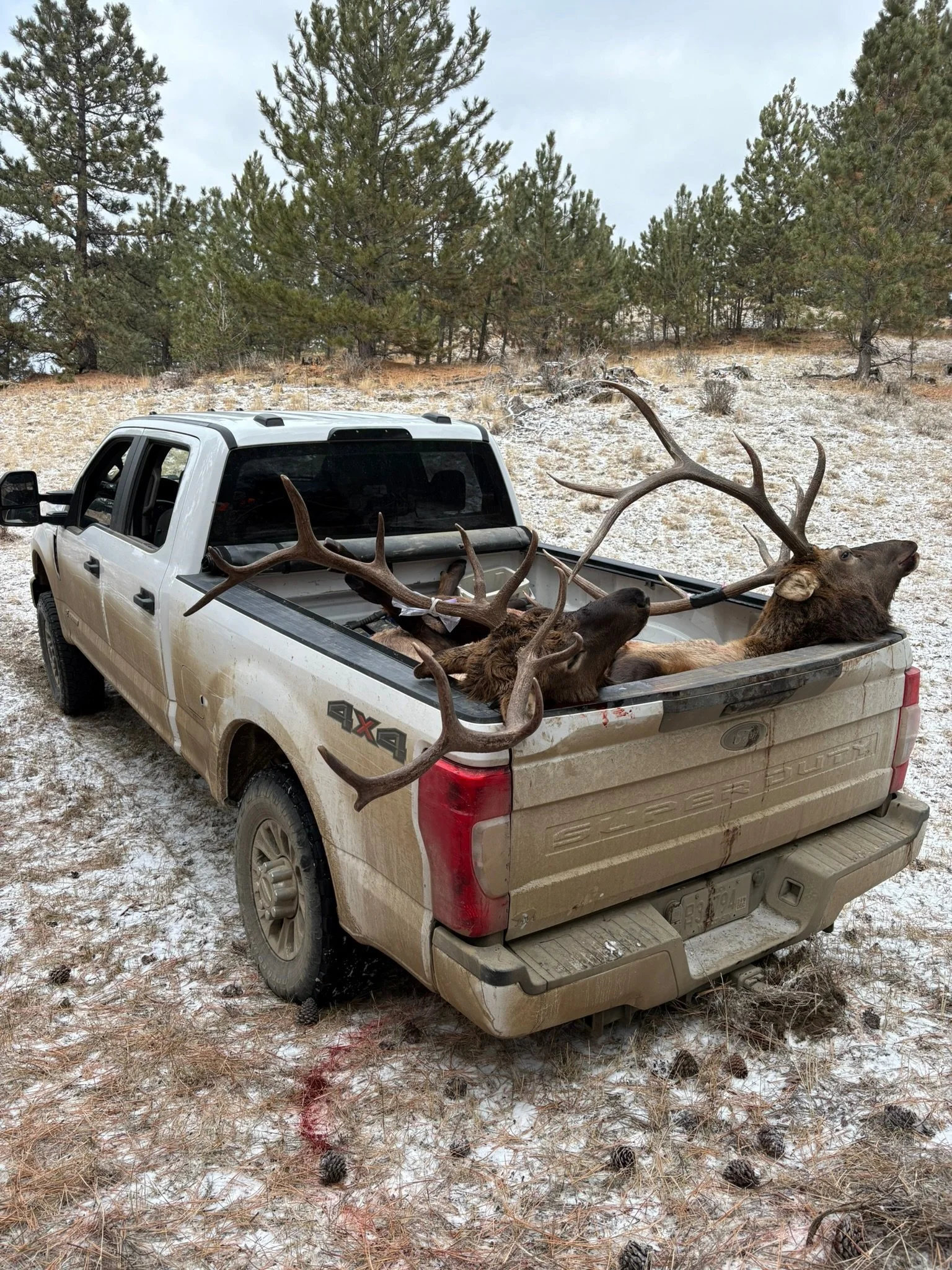 Great guides in Montana for hunting deer, elk and antelope