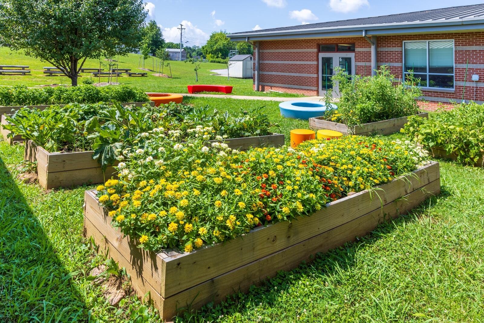One Year of Growing Together: Celebrating SEED Chattanooga’s First Year