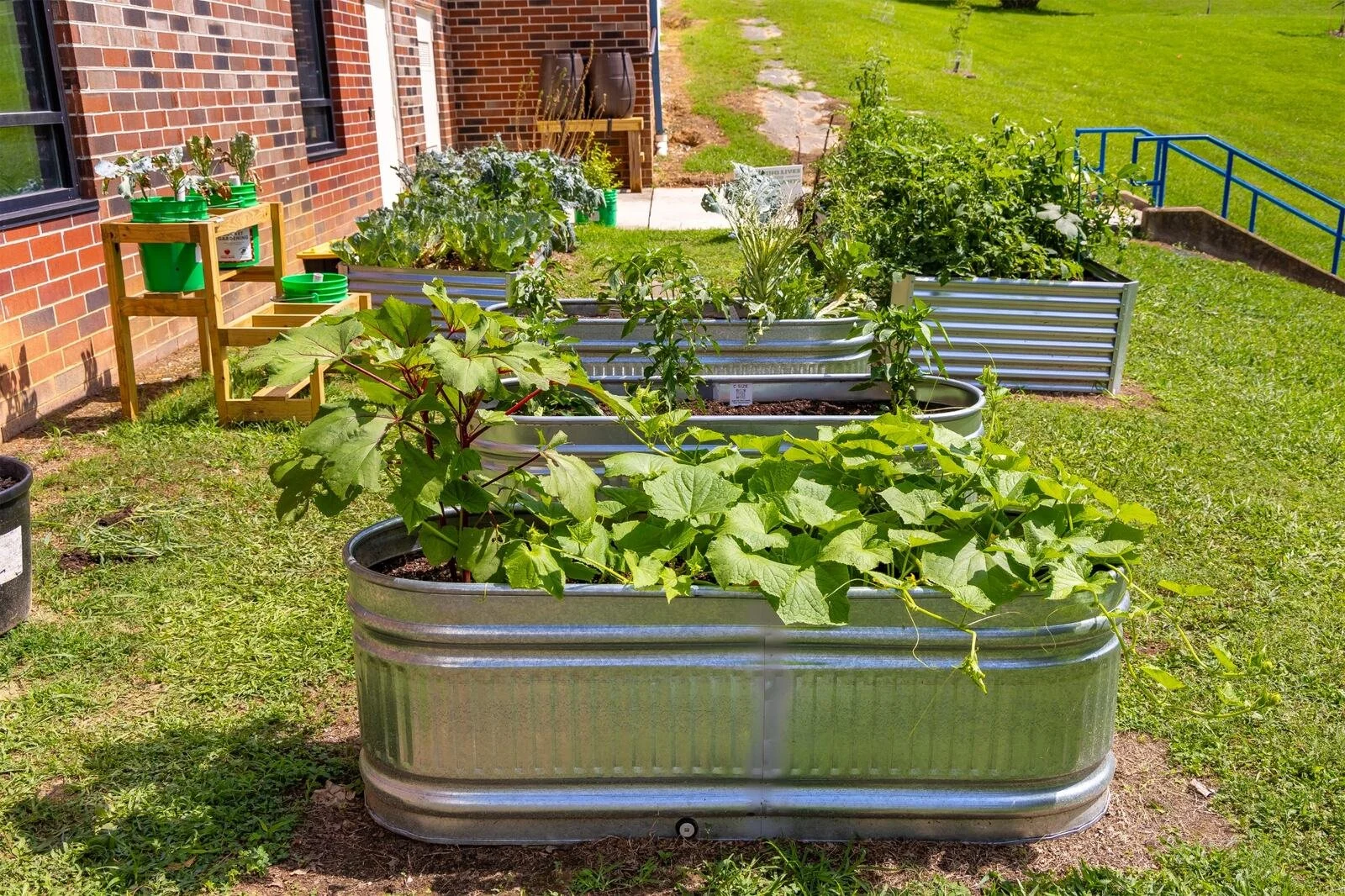 Growing Together: A Season of Growth, Partnerships &amp; New Beginnings