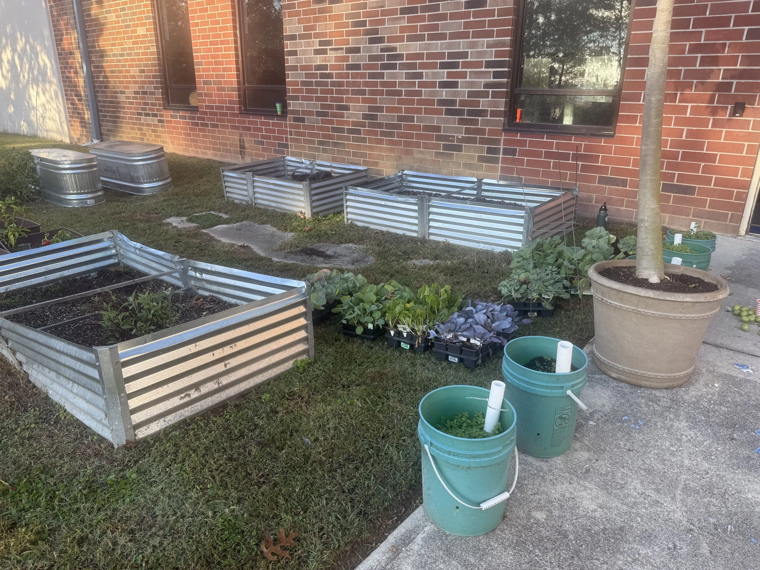 Growing Through The Seasons: Winter Planting 🌿