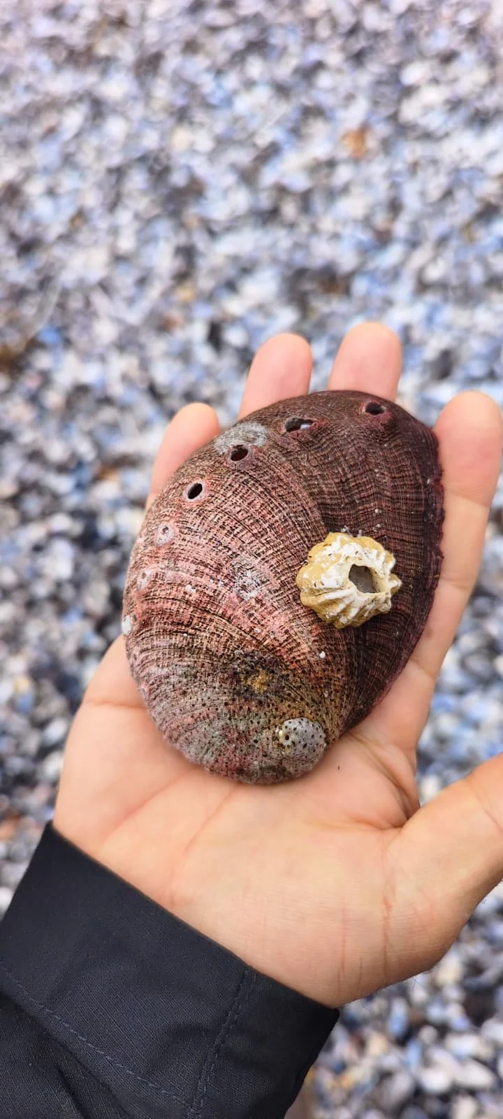 We are Overwhelmed (and Extremely Fortunate)