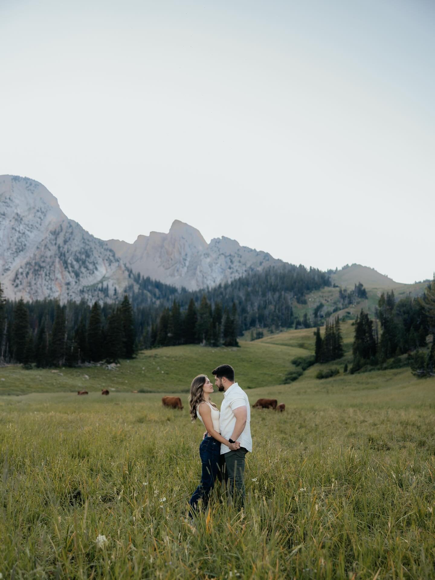 Sunset at fairy lake with Nikki + Joe!! Already counting down the days until their big day next May 💍🥂