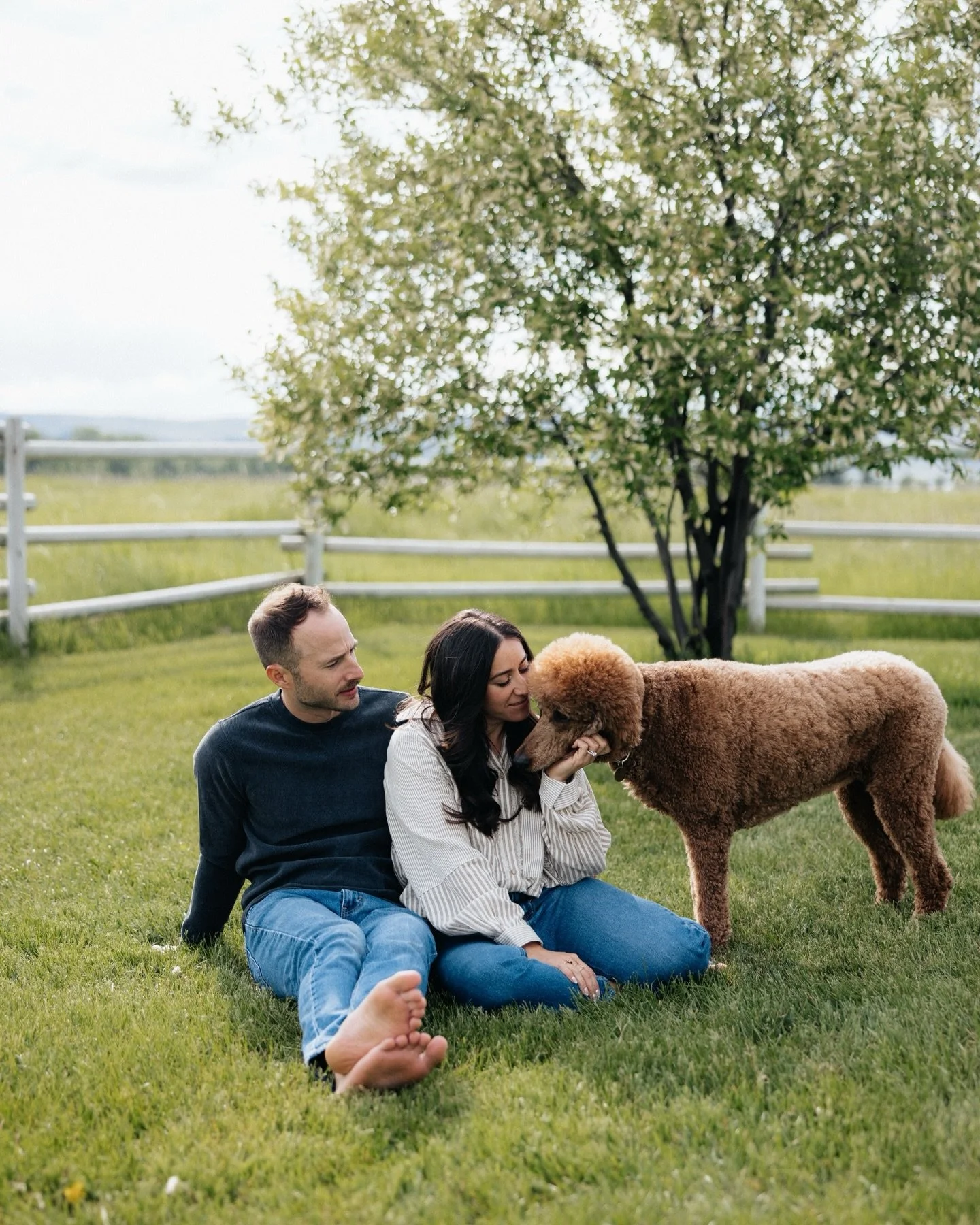Throwback to this little at home sess with J + N 🫶🏻✨🧺

#montanaweddingphotographer #montanacouplesphotographer #engagementphotographer #mymontanawedding #destinationweddingphotographers