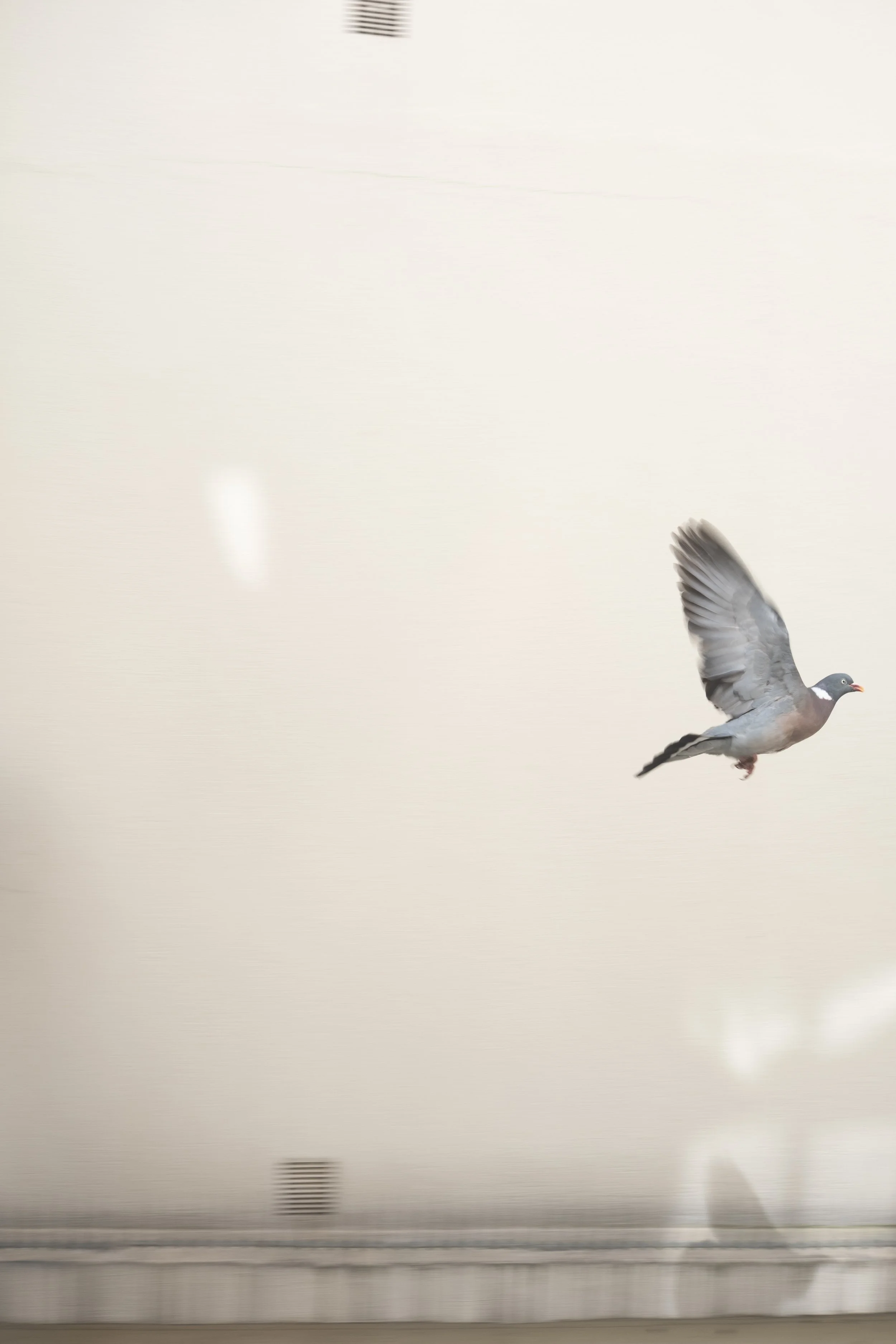 DSCF7408.jpg