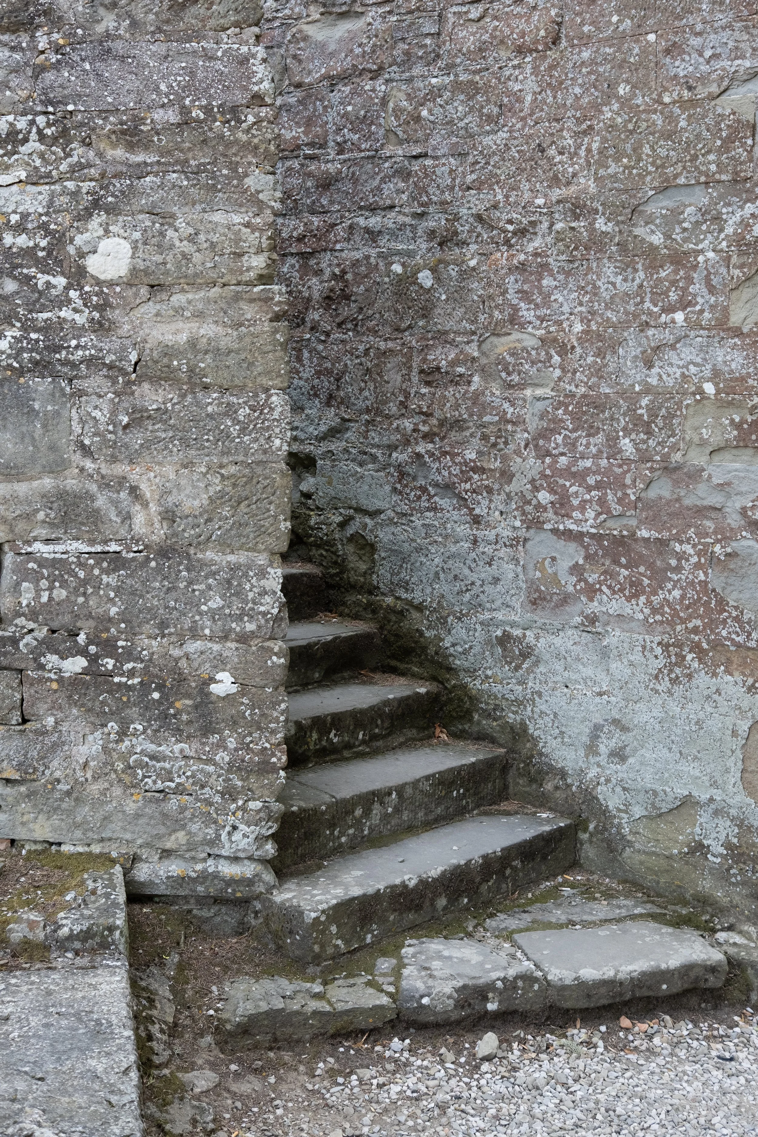 DSCF8765.jpg