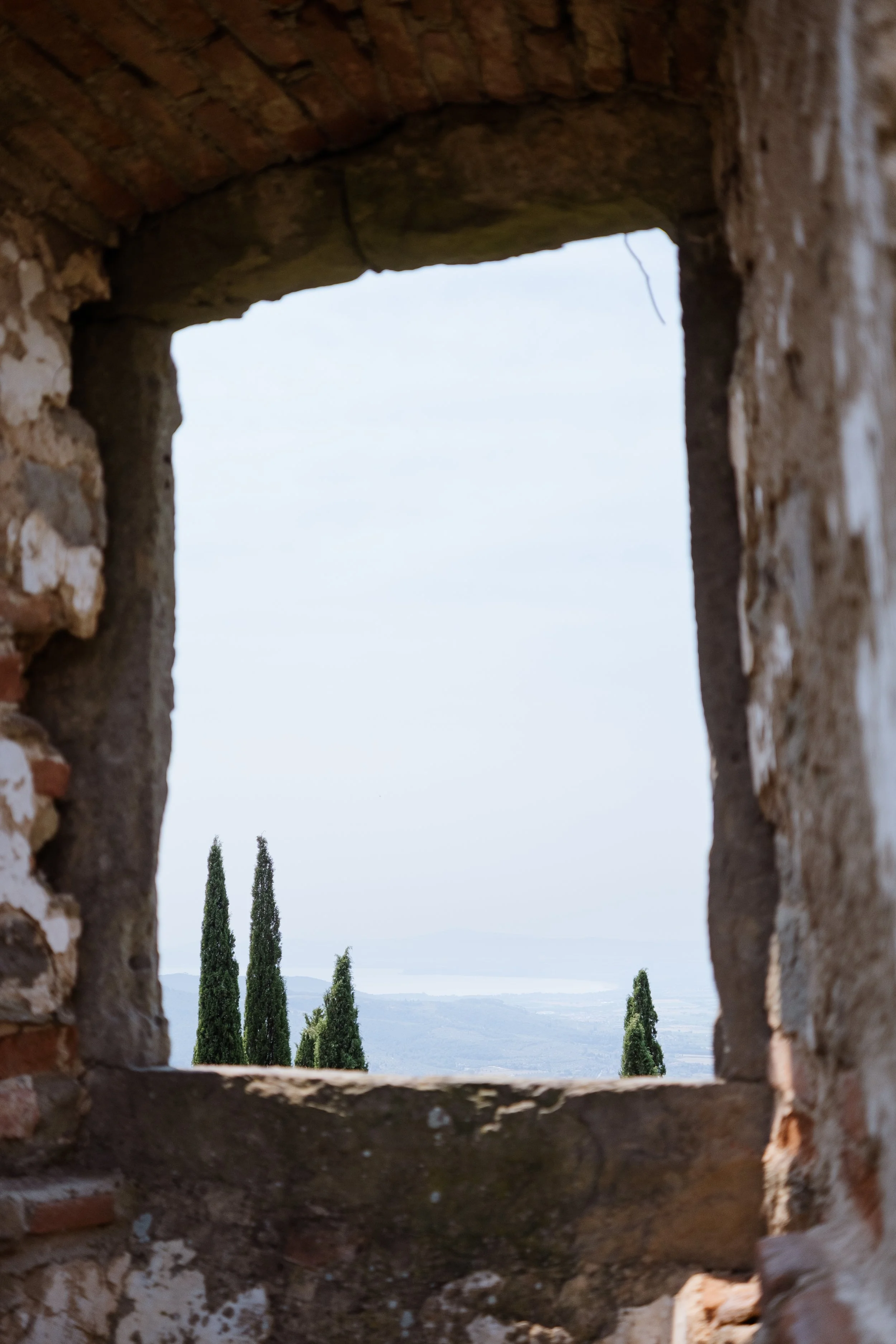DSCF8896.jpg