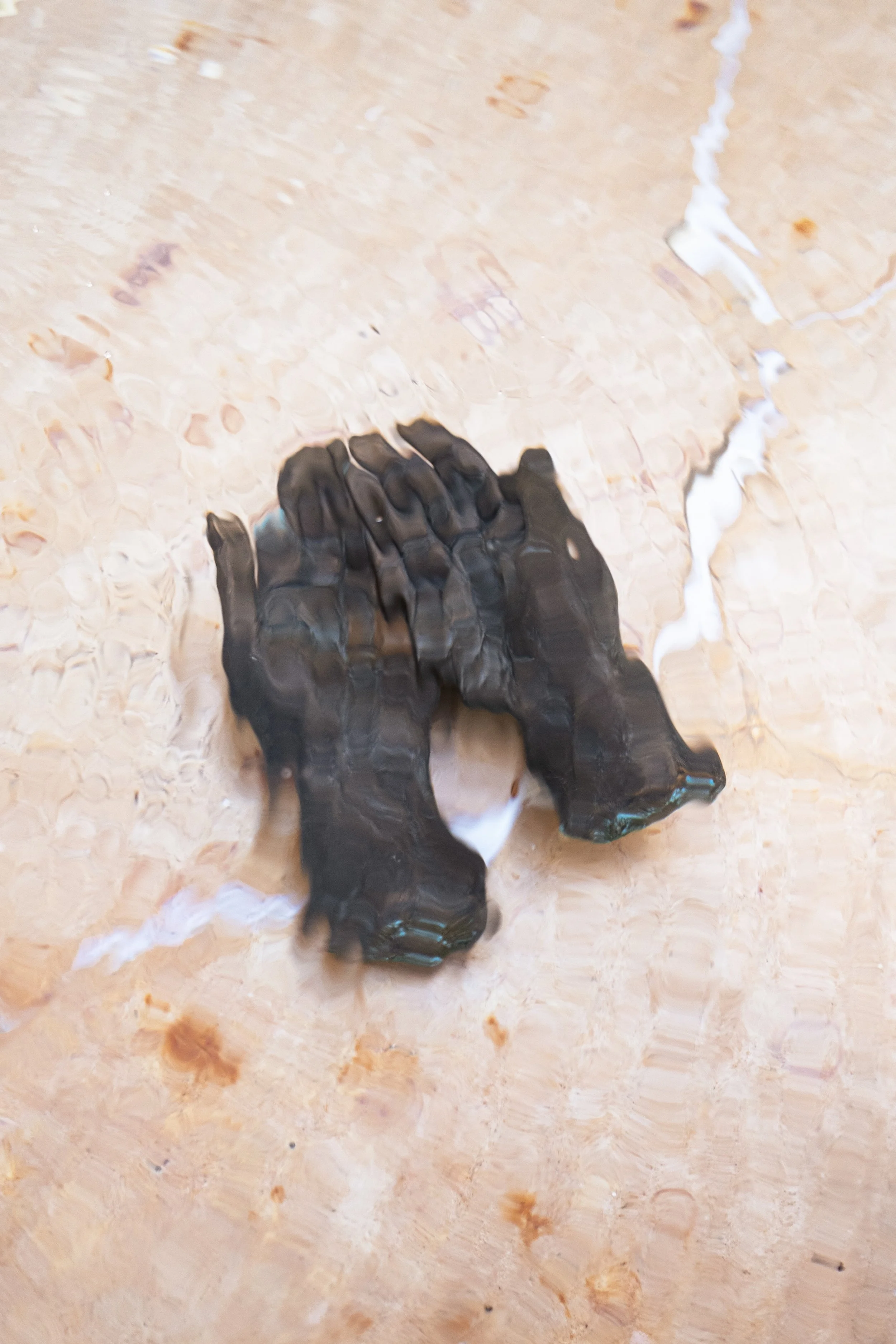 DSCF8170.jpg