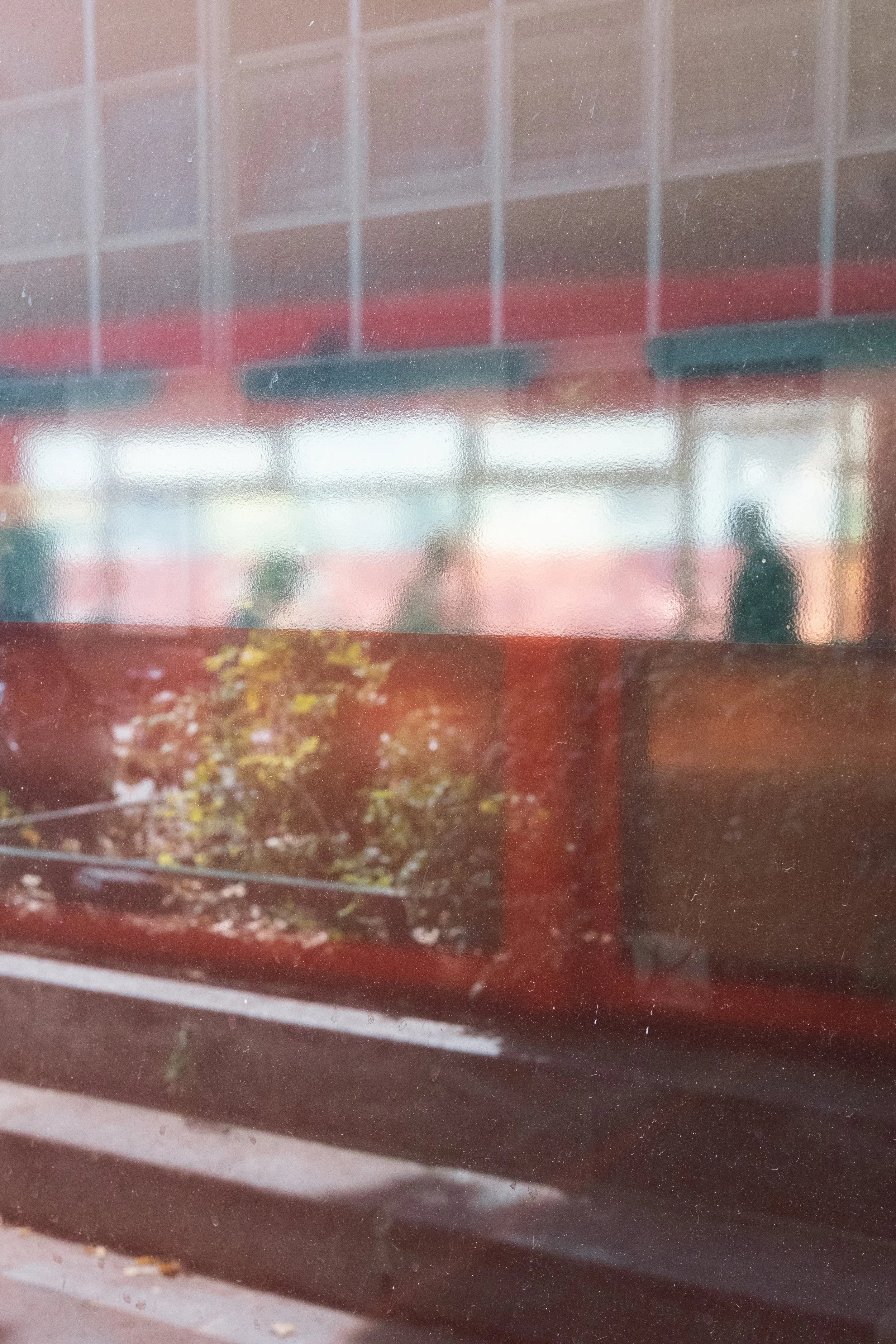 DSCF9735-2.jpg