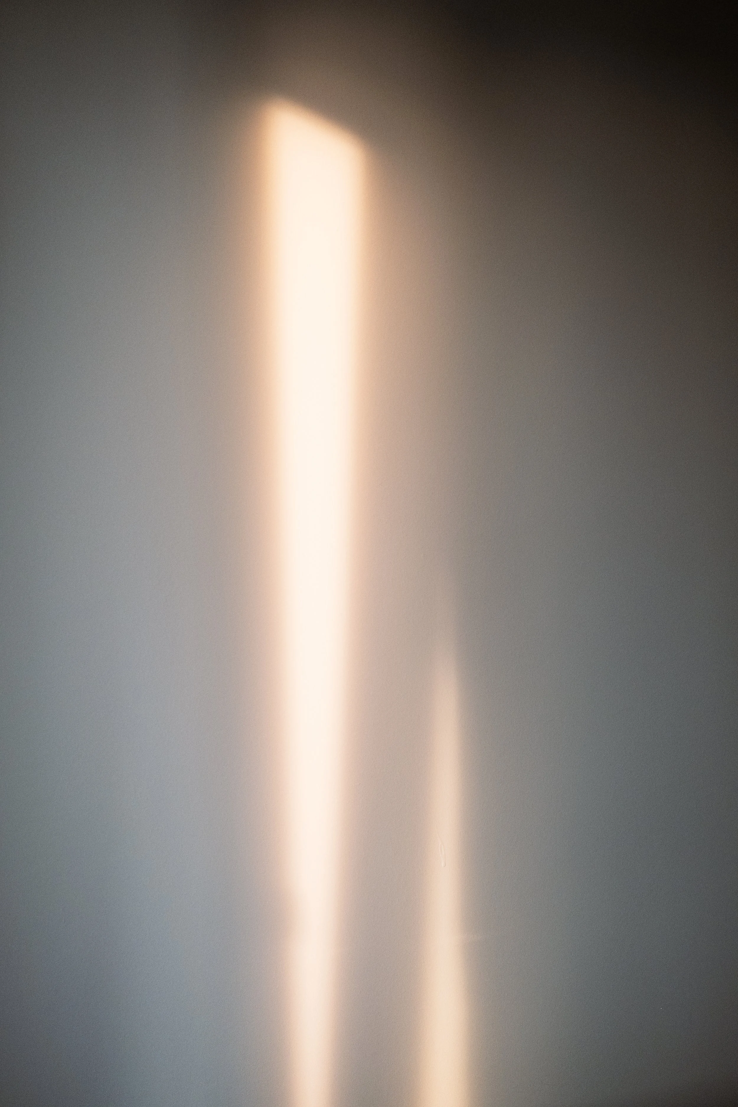 DSCF2091.jpg
