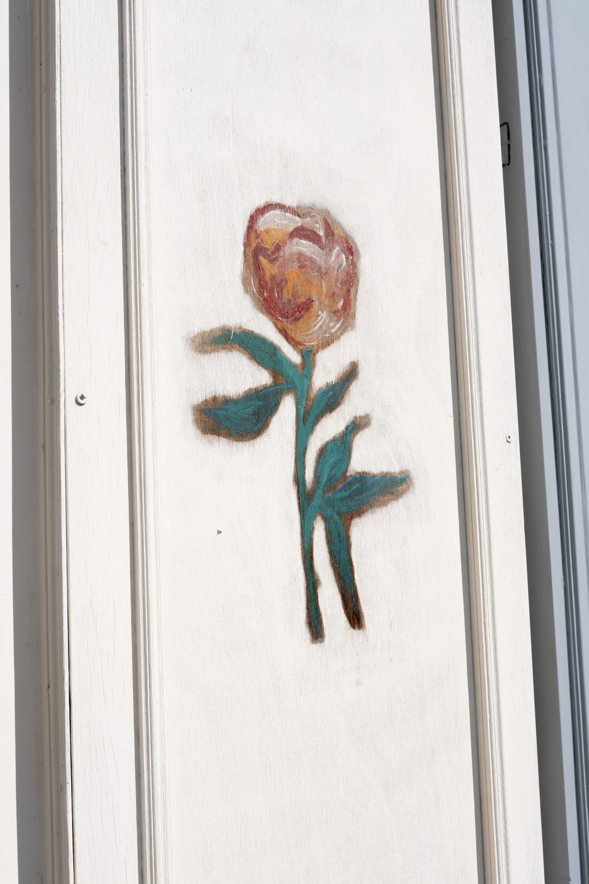 DSCF9341.jpg