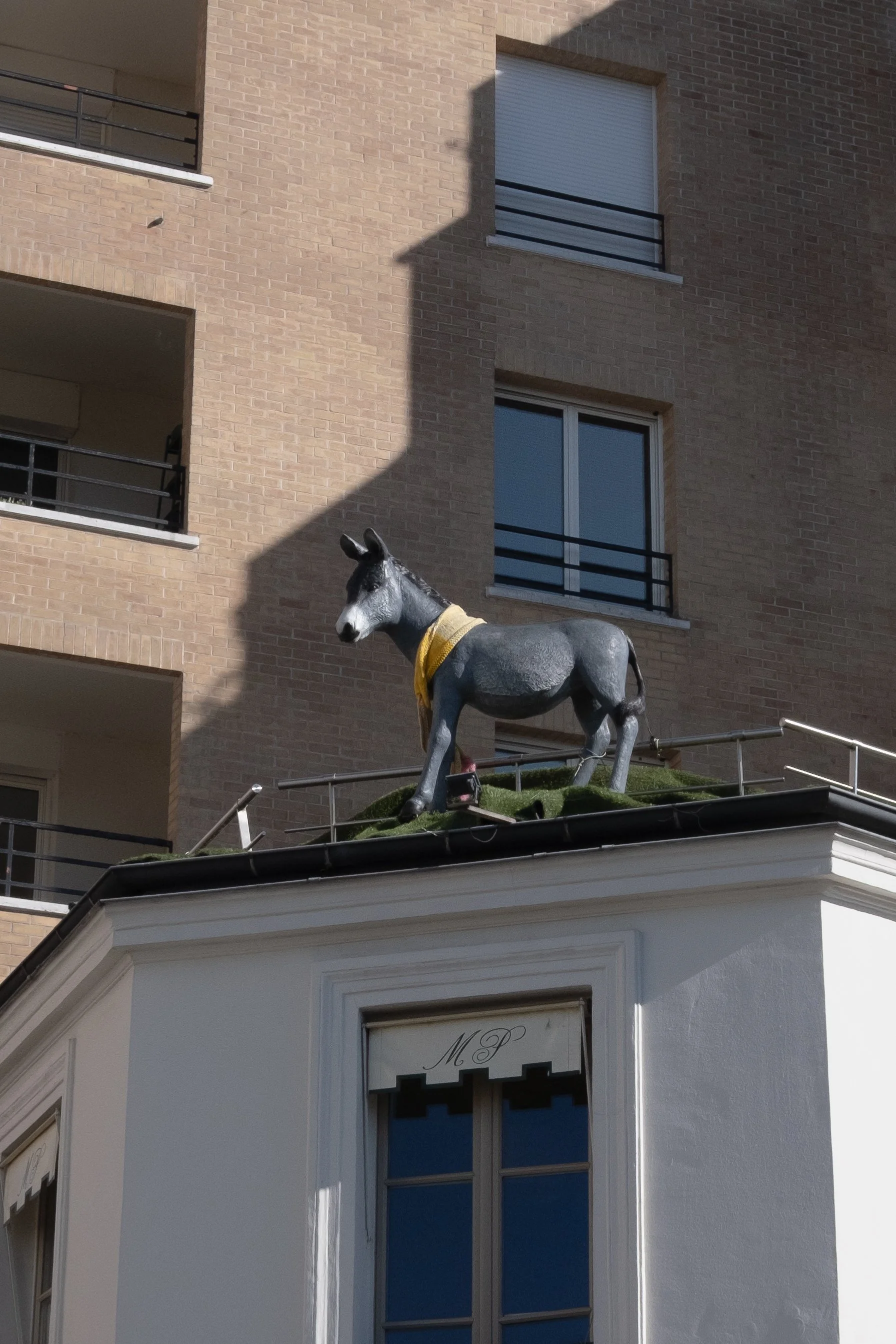 DSCF4963.jpg