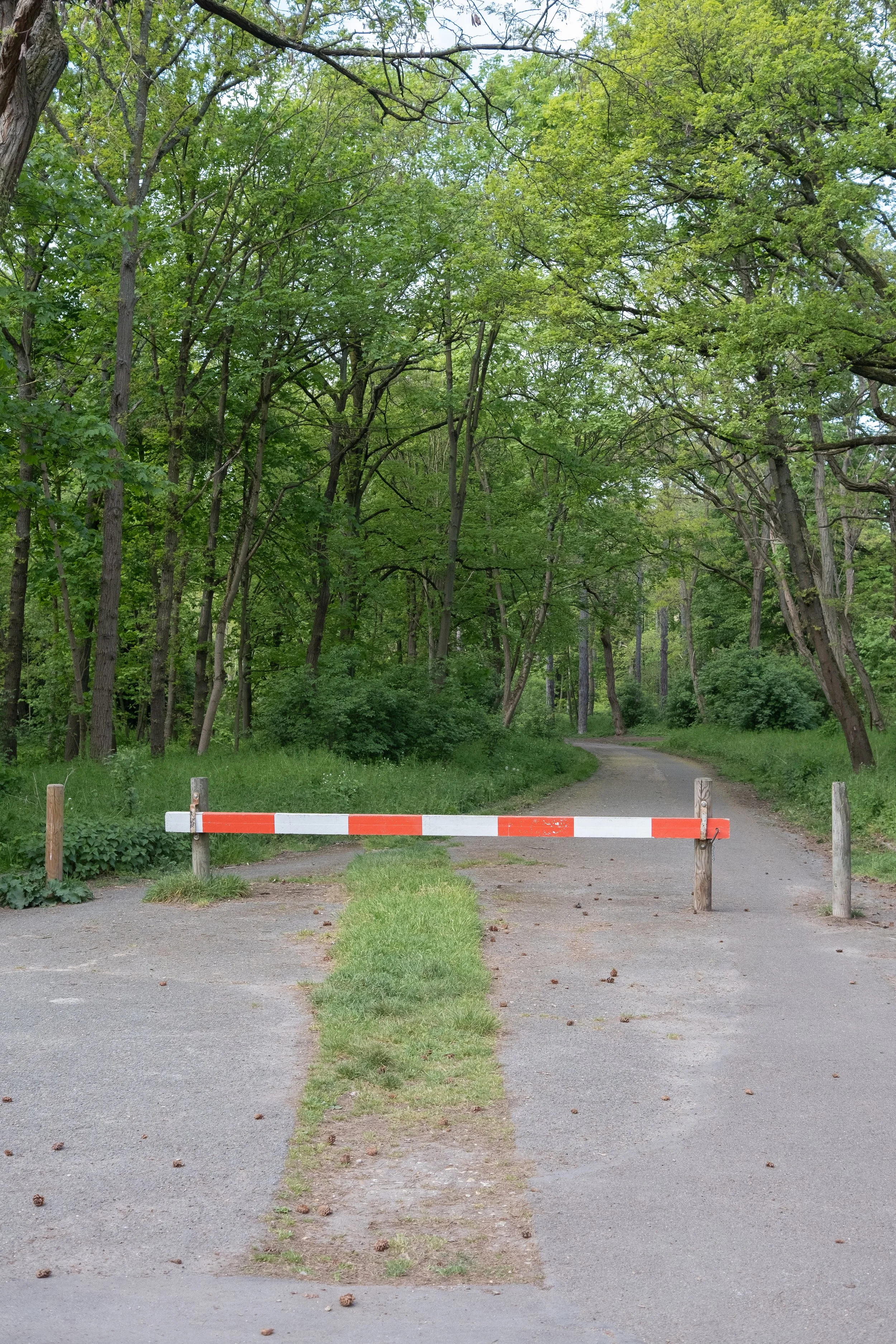 DSCF4142.jpg