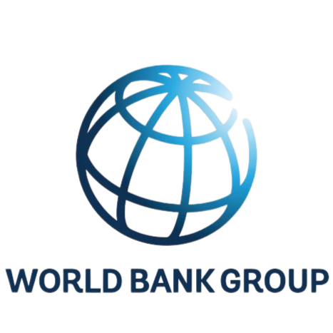 The World Bank Group logo featuring a stylized globe with interconnected lines and the text 'World Bank Group' underneath.