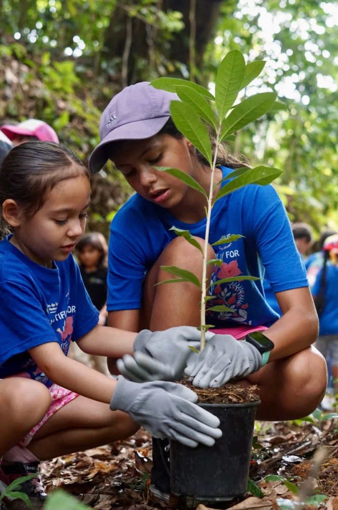 Two children, an older girl and a younger girl, planting a small tree in a black pot outdoors during daytime.