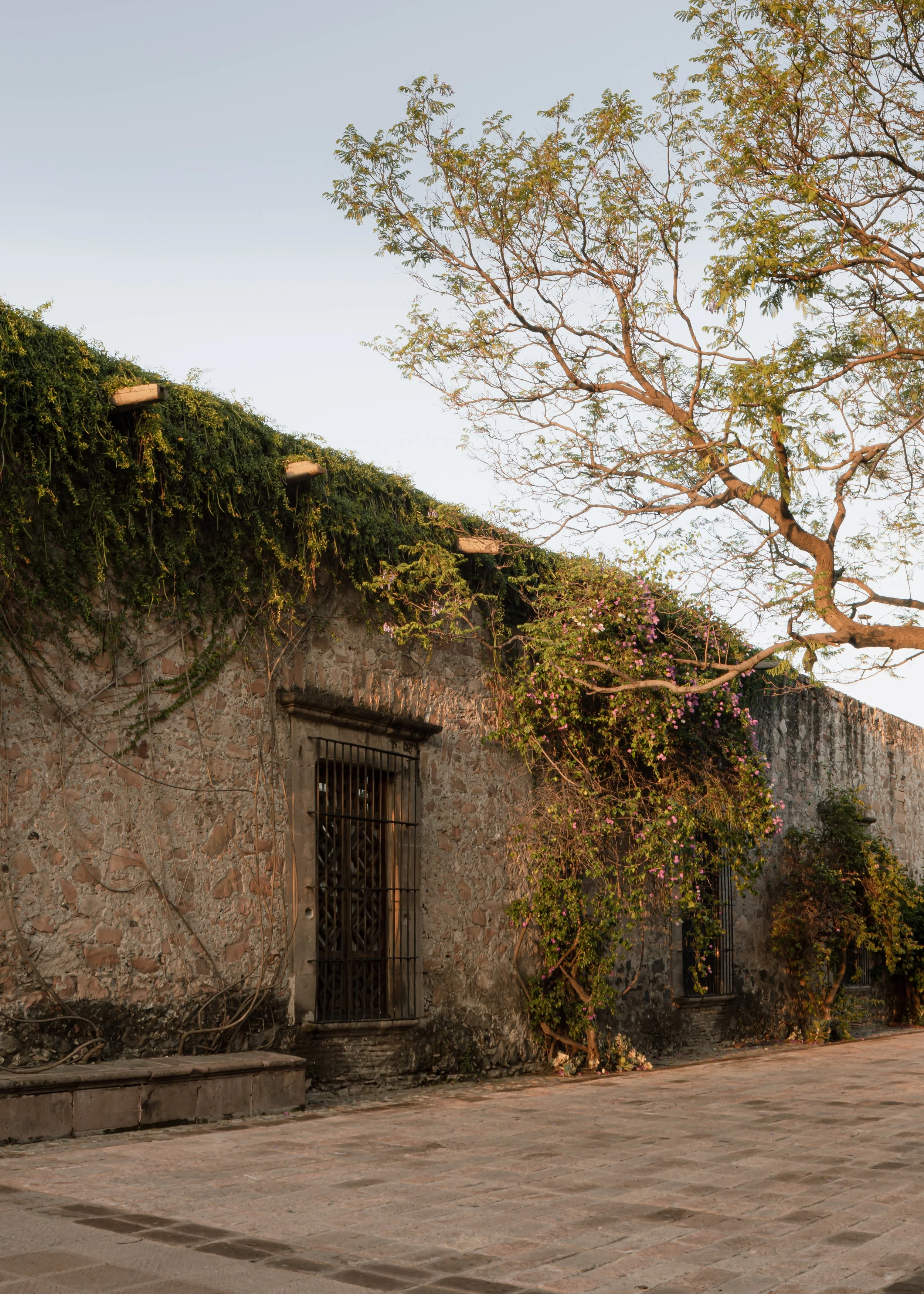 Imagen de Hacienda La Capilla.