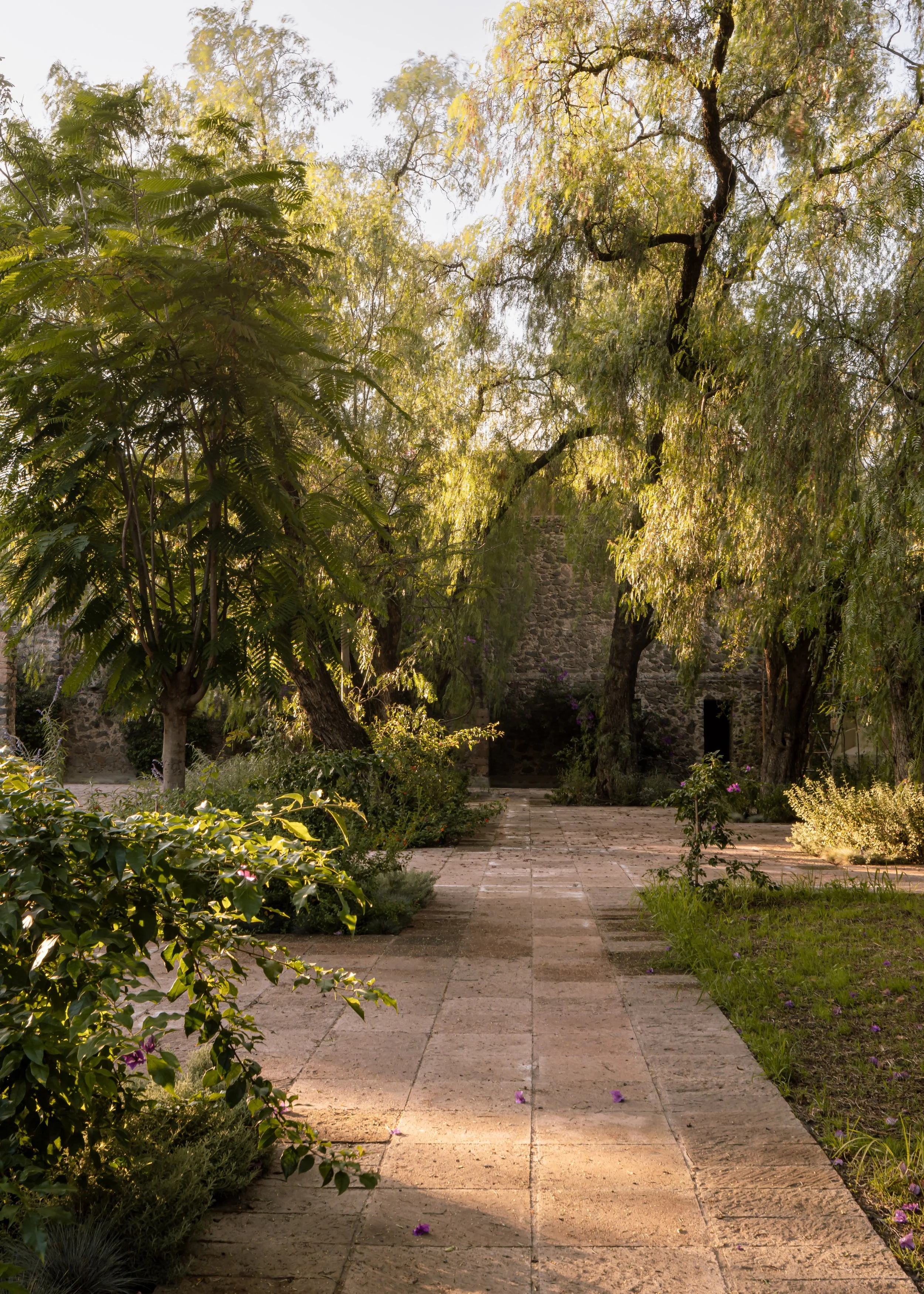 Imagen de Hacienda La Capilla.