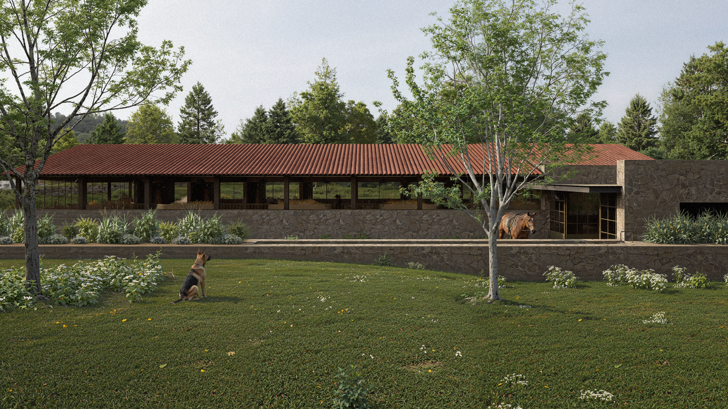 Imagen de Rancho Amealco.