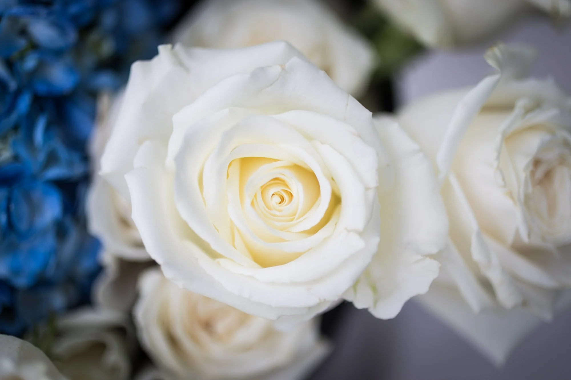 los-angeles-branding-photographer-69-8595.jpg