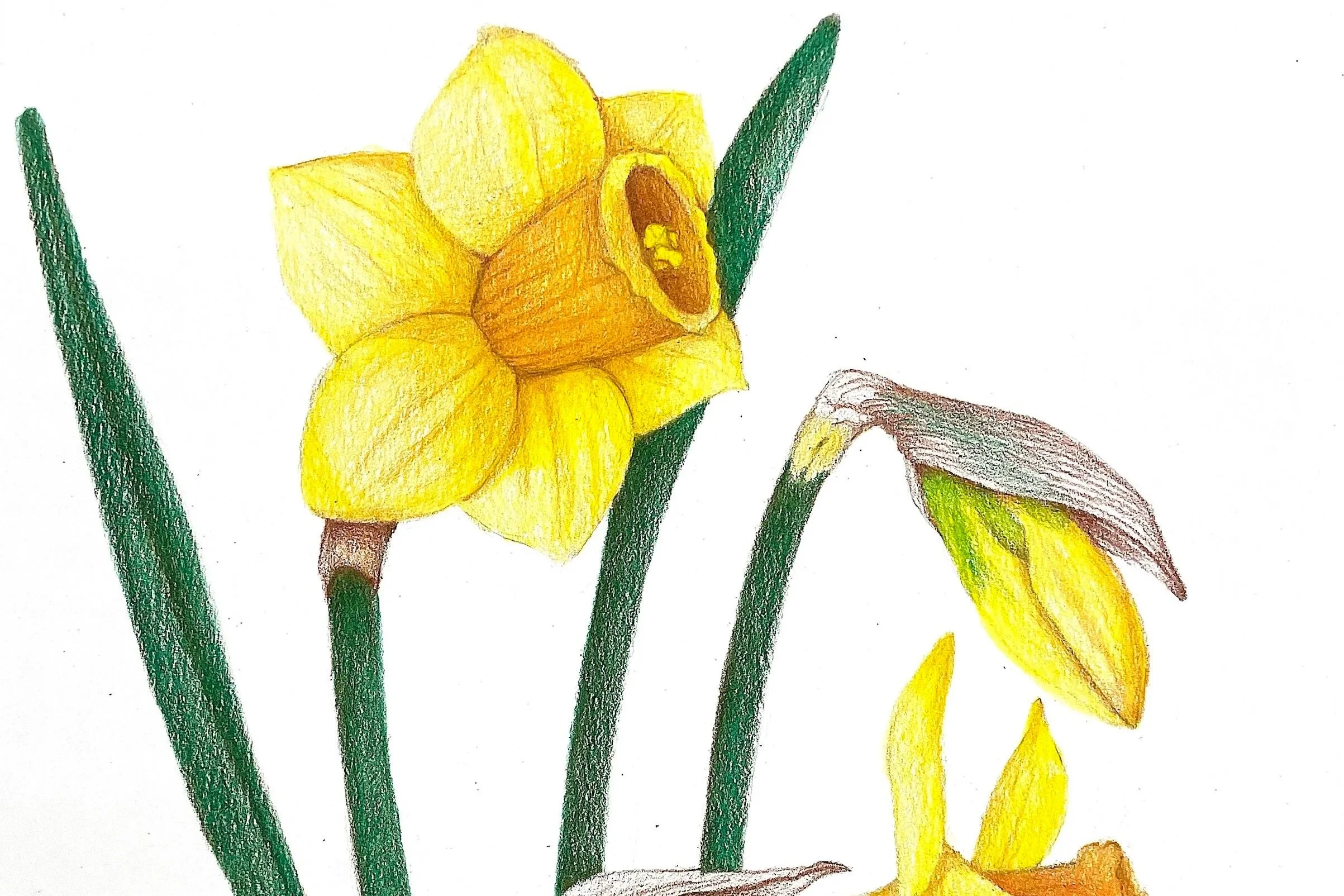 April Creative Escape Workshop for Adults