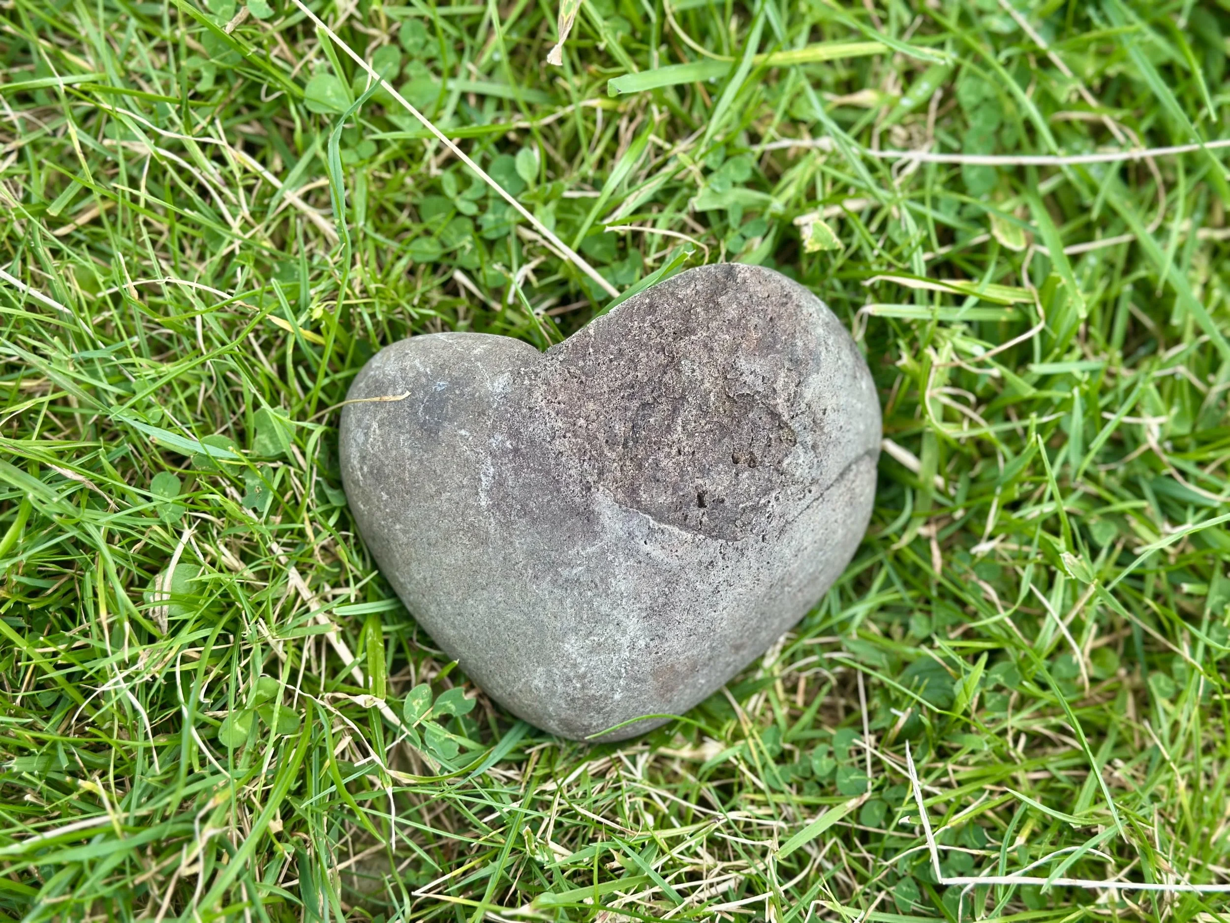 The Eldest Daughter Reset Ritual