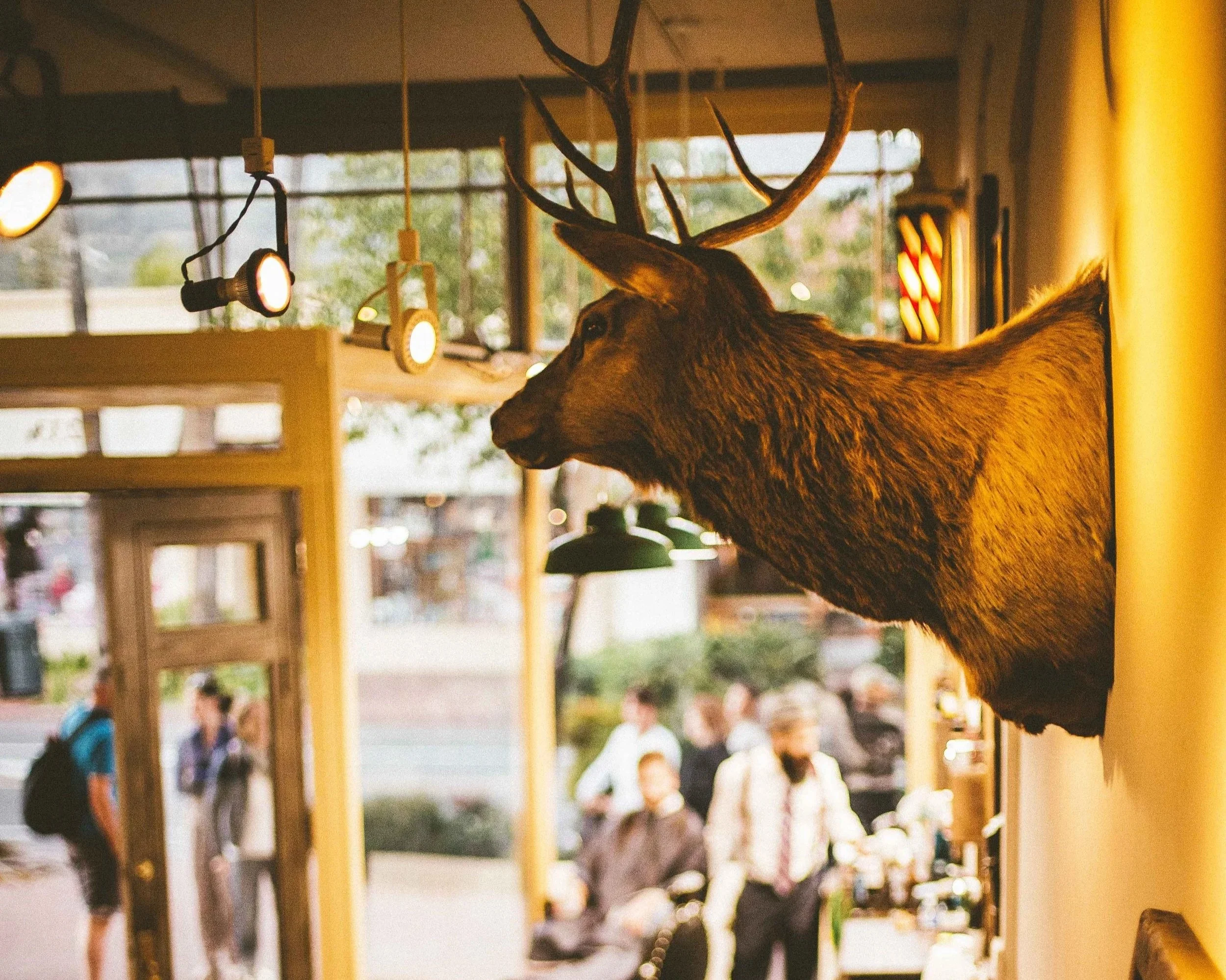 Mounted deer head on wall inside a cafe or restaurant, with people walking outside visible through the window.