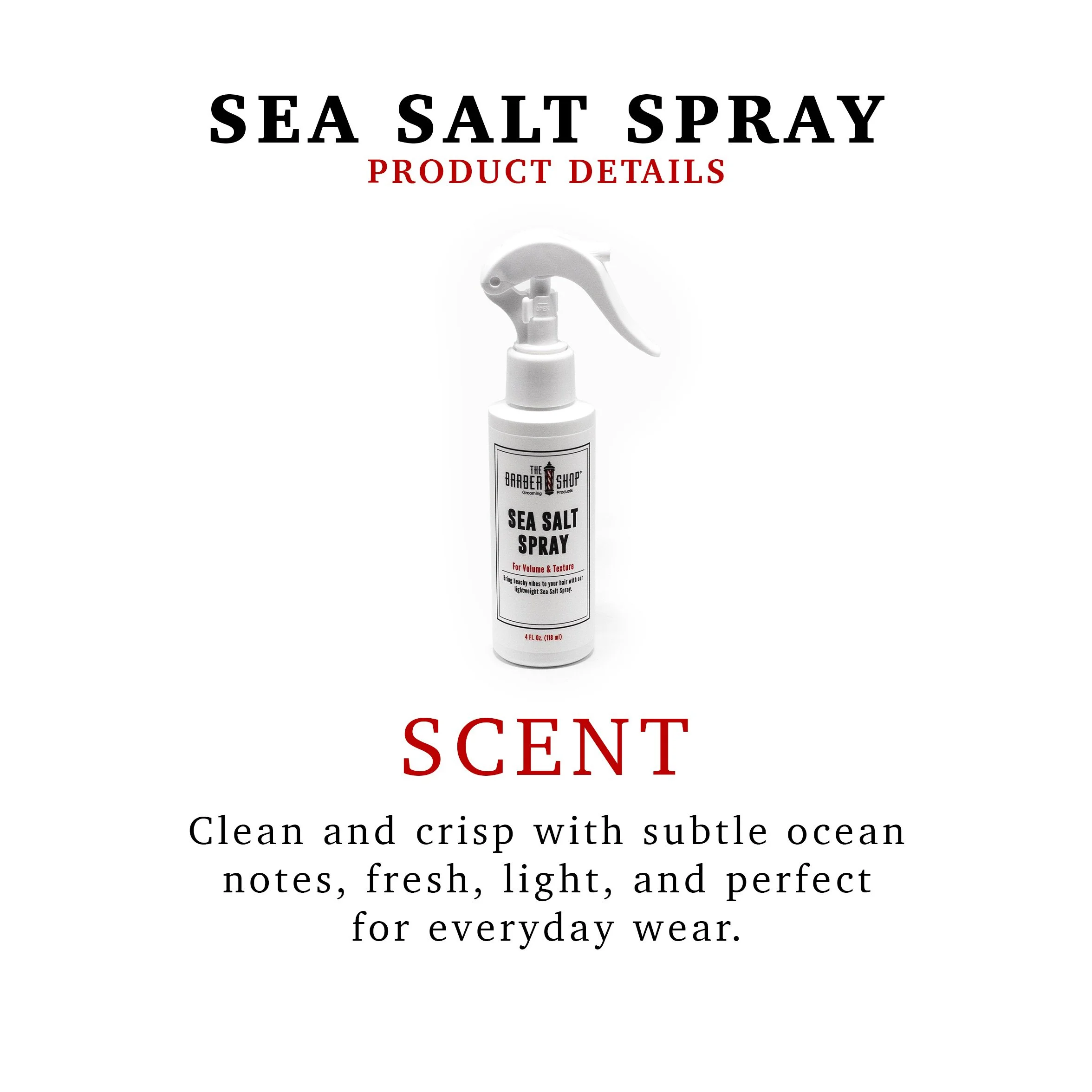 TBS Sea Salt Spray Infographic Scent Coconut Website.jpg