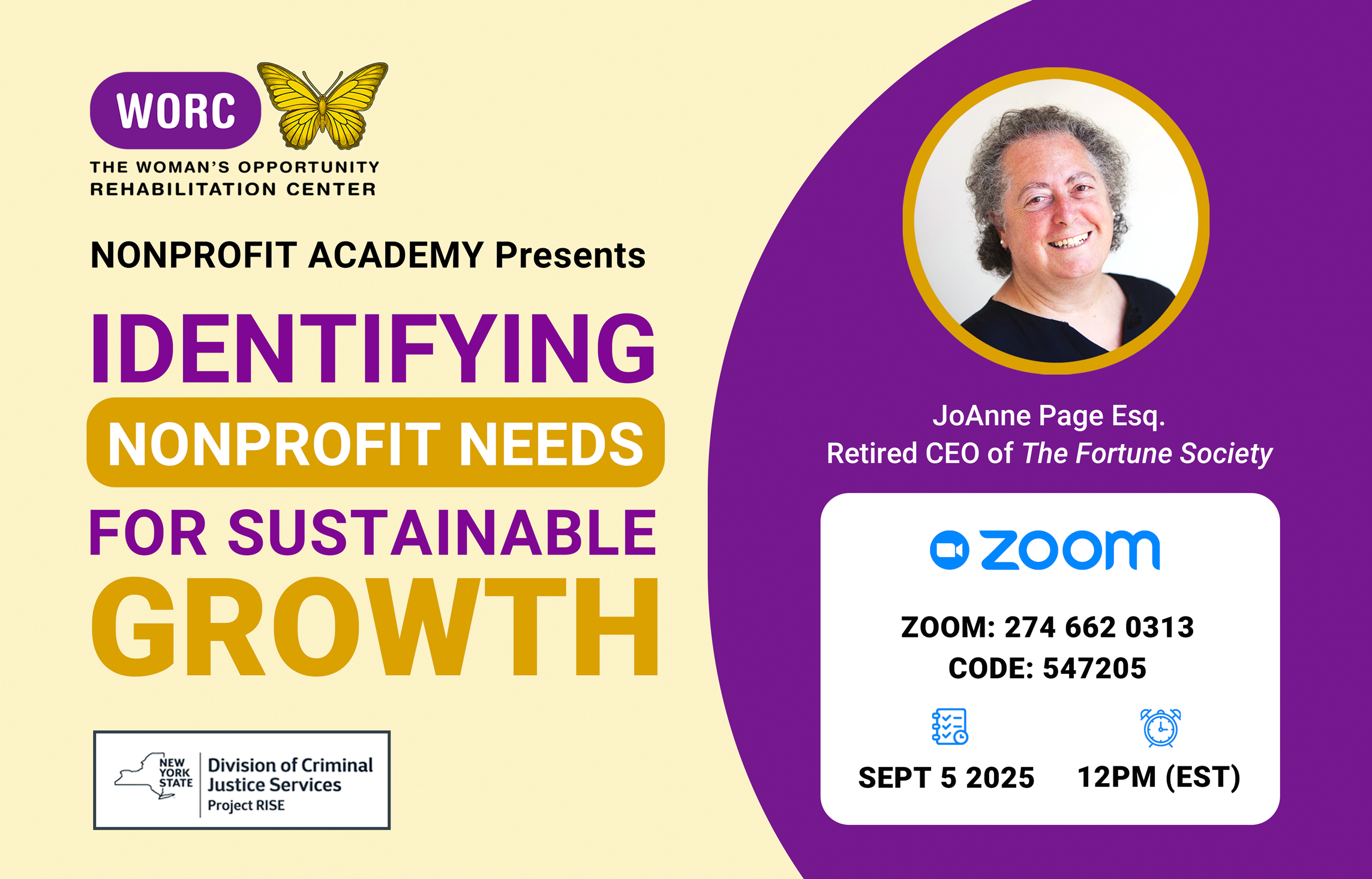 Identifying Nonprofit Needs for Sustainable Growth (Zoom)
