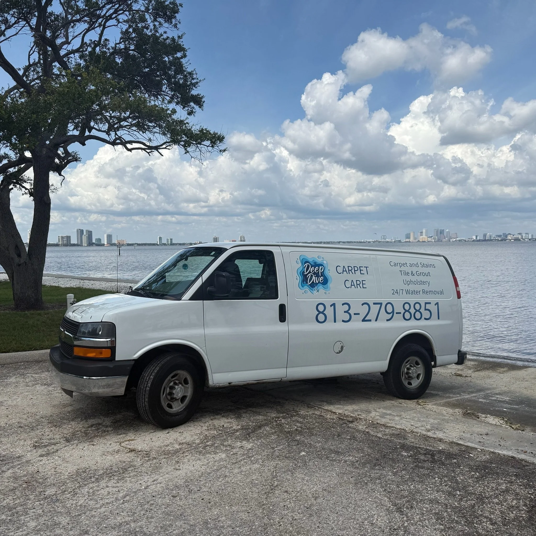 White professional steam cleaning service van for Deep Dive Carpet Care parked near water with Tampa skyline in the background.