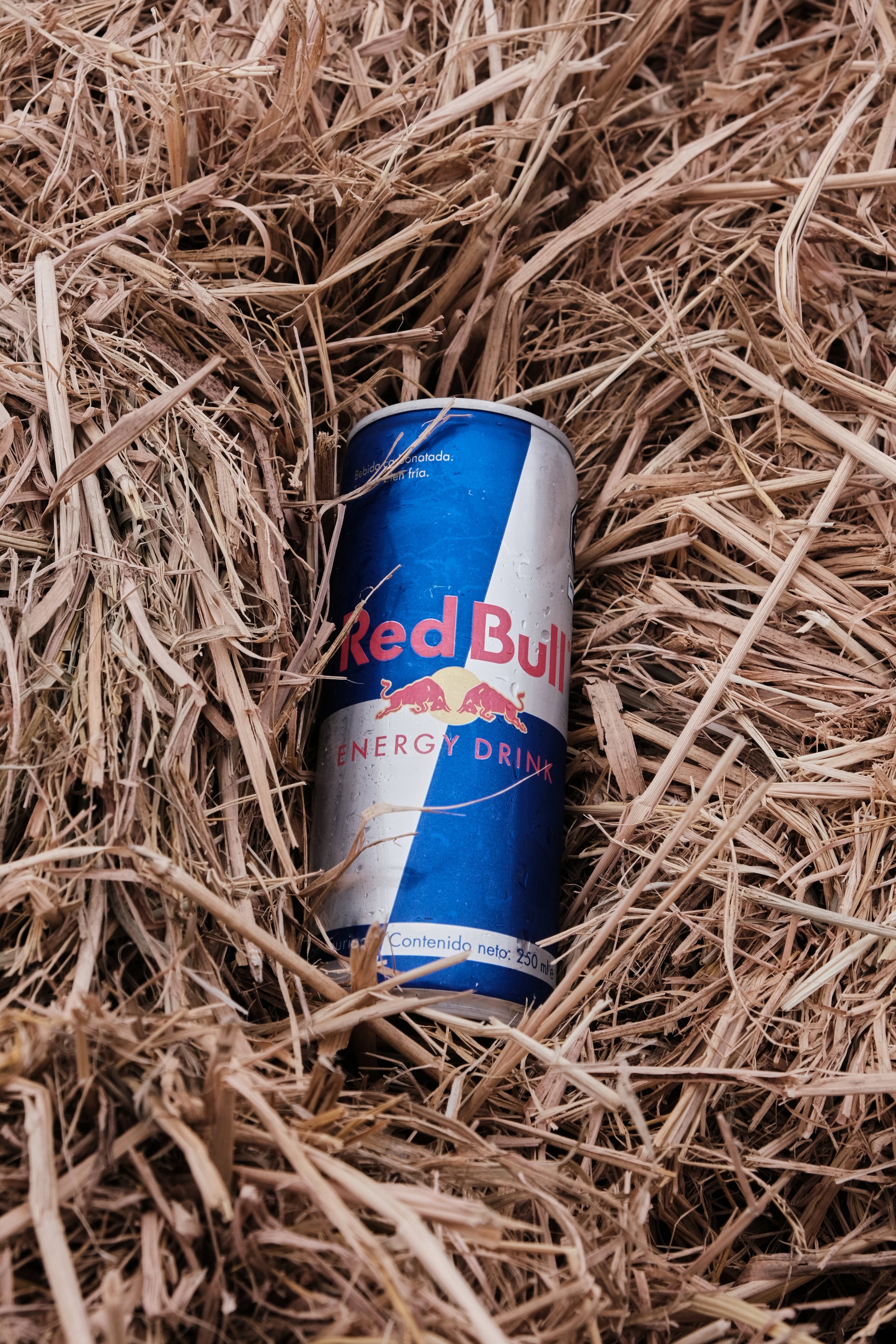 REDBULL. 19.jpg