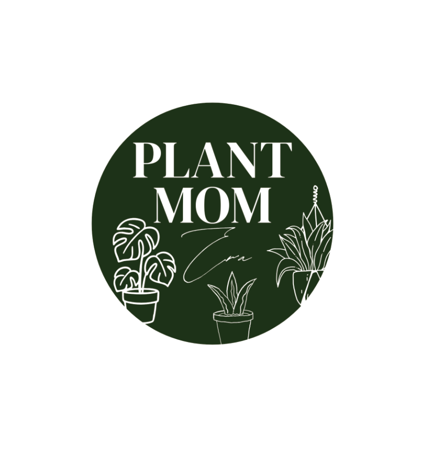 Screenshot 2026-04-20 222943.png