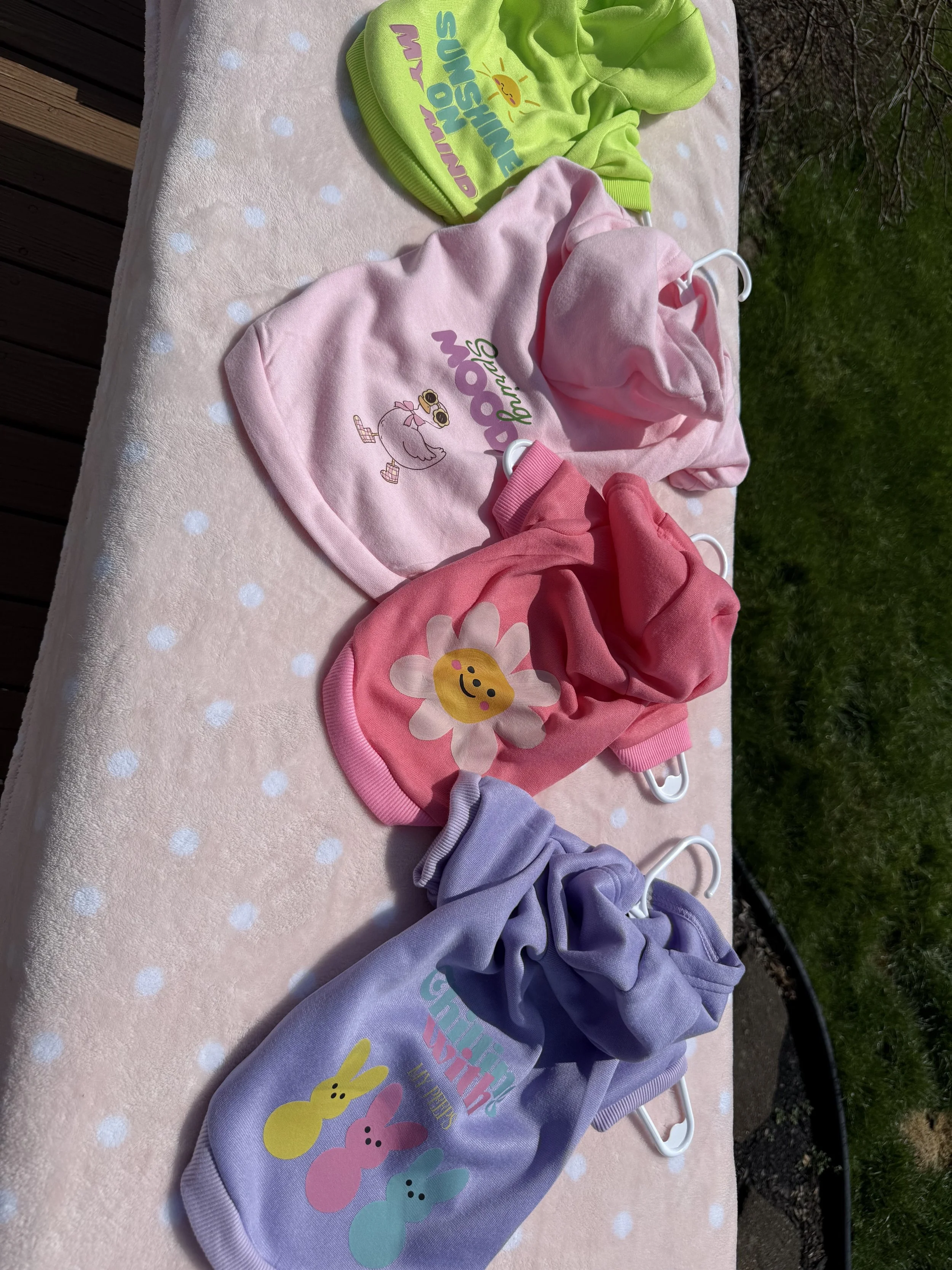 Spring Hoodies