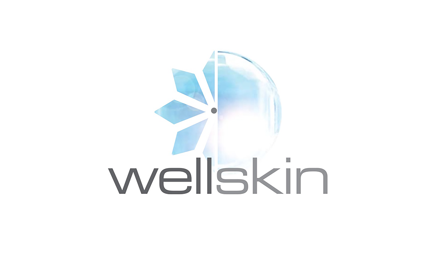 Wellskin logo with a stylized snowflake and a half globe, text 'wellskin' underneath