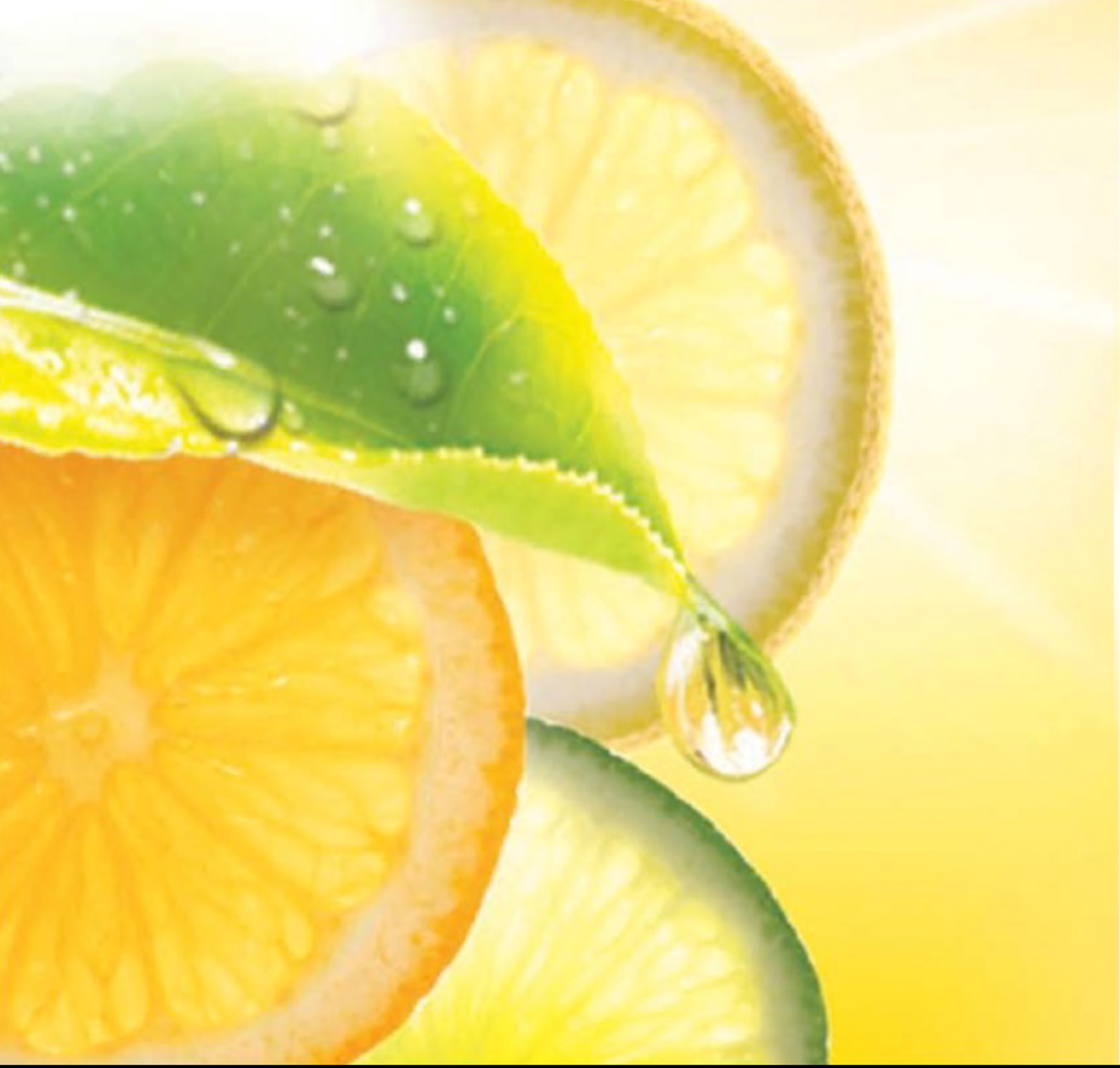 LIPTON+BRANDING_MENU.png