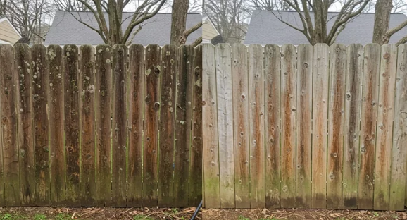 Fence / Deck Cleaning