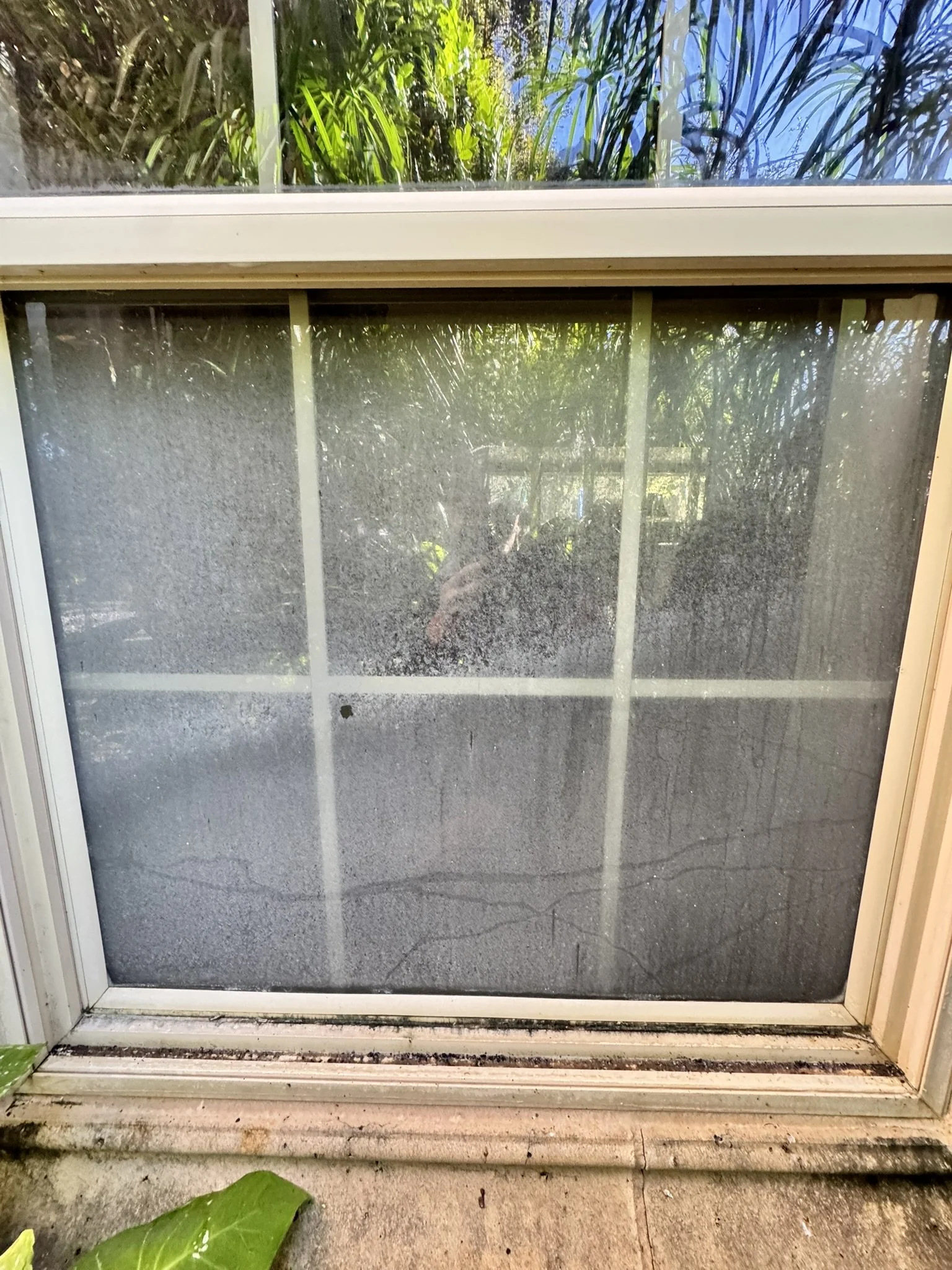 A sliding glass door with dirt and grime along the bottom frame, with some leaves at the bottom left corner. Outside the door, there is a concrete step and some green plants visible.