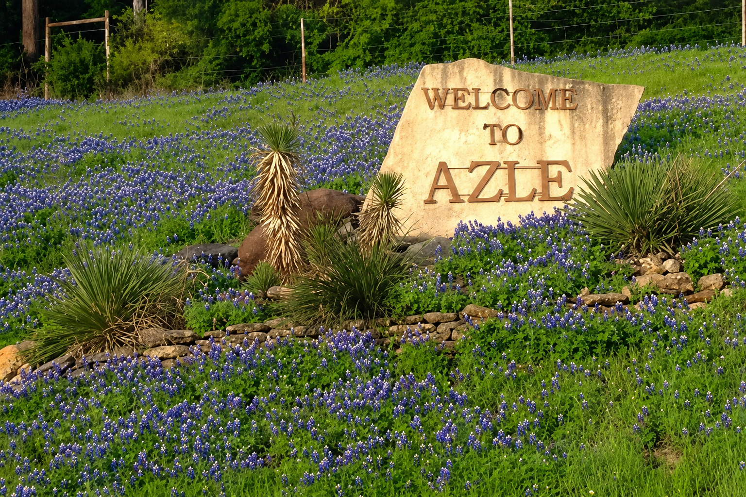azle-pressure-washing-company.png