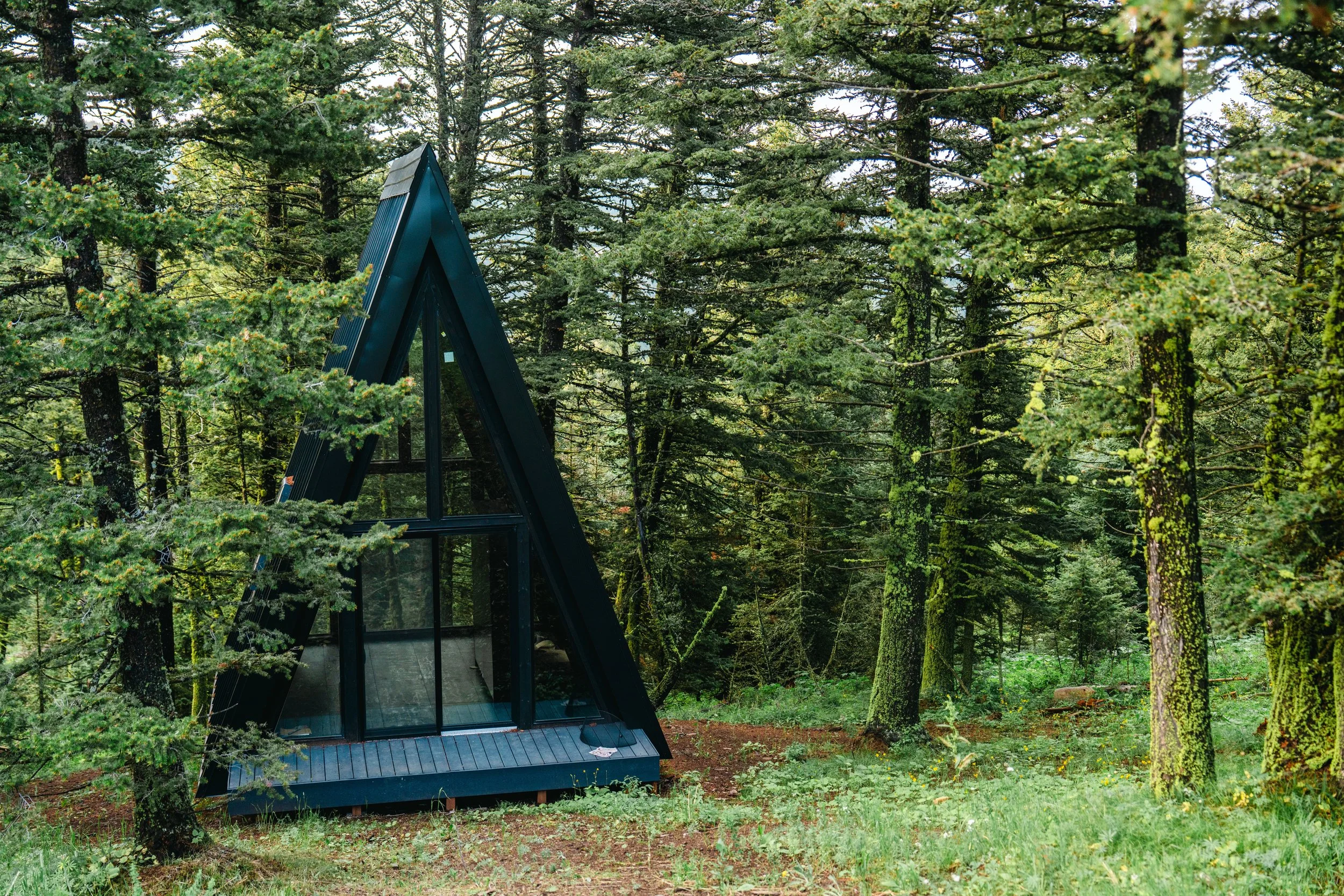 a dark wood metal and glass a frame house exterior in the forest
