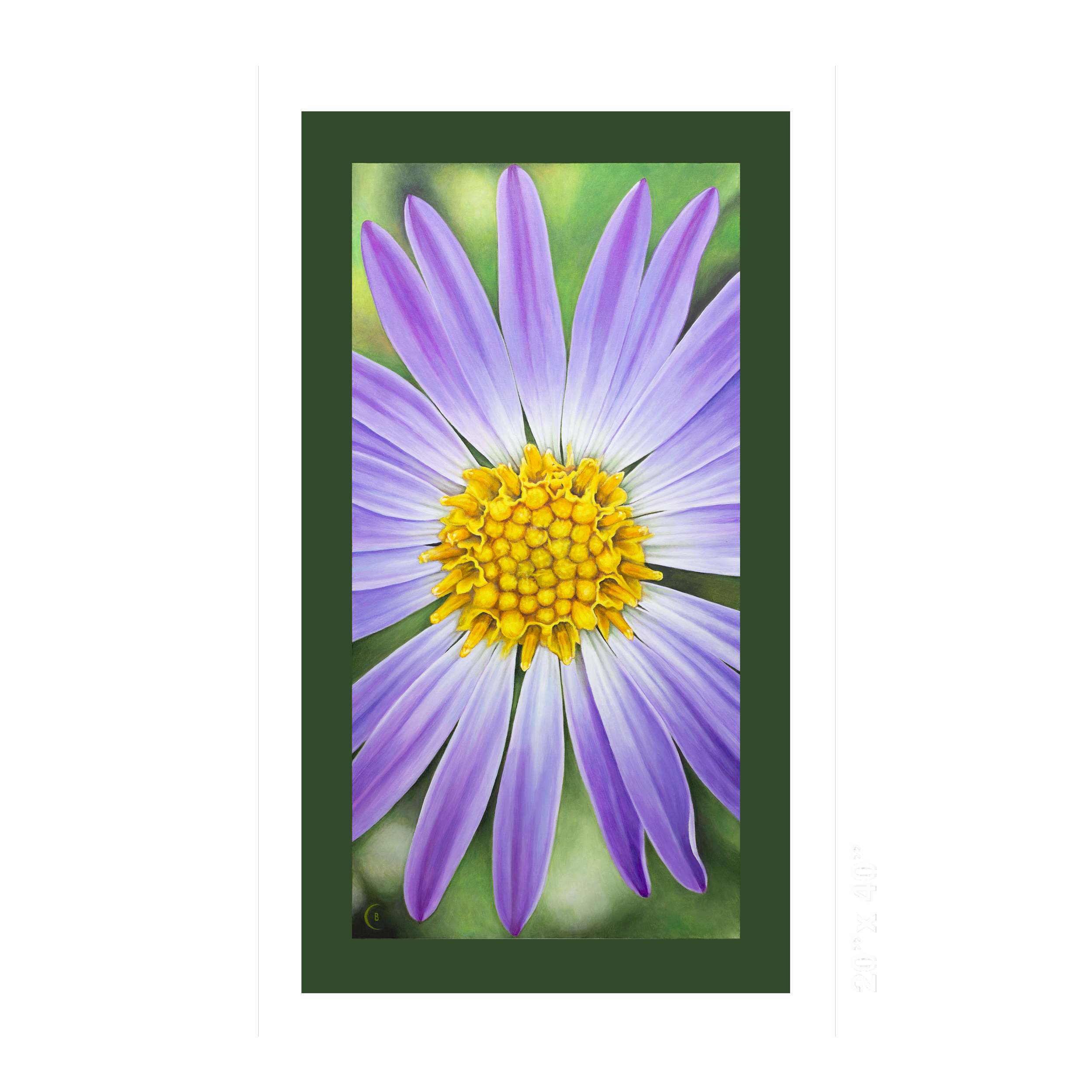 AAster-canvas-20x40.png