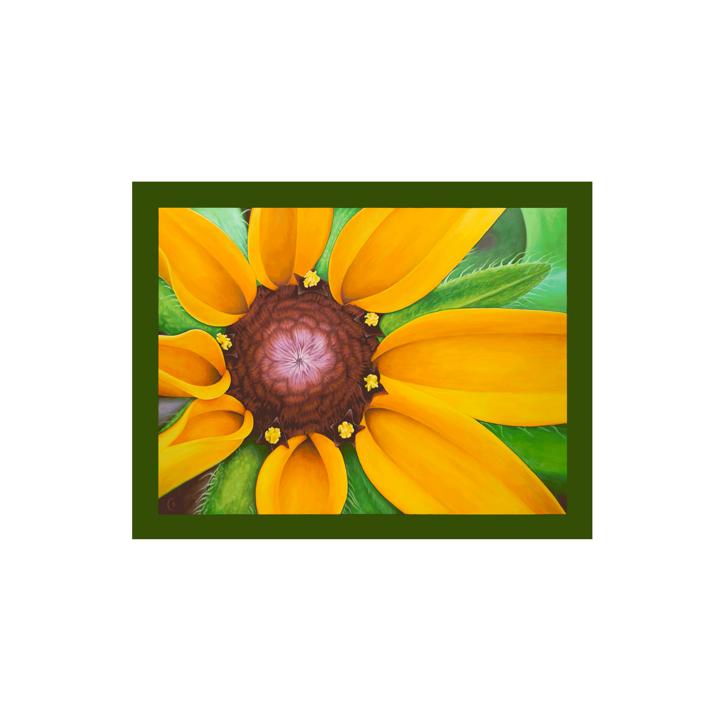BlkEyedSusan-canvas-32x24.png