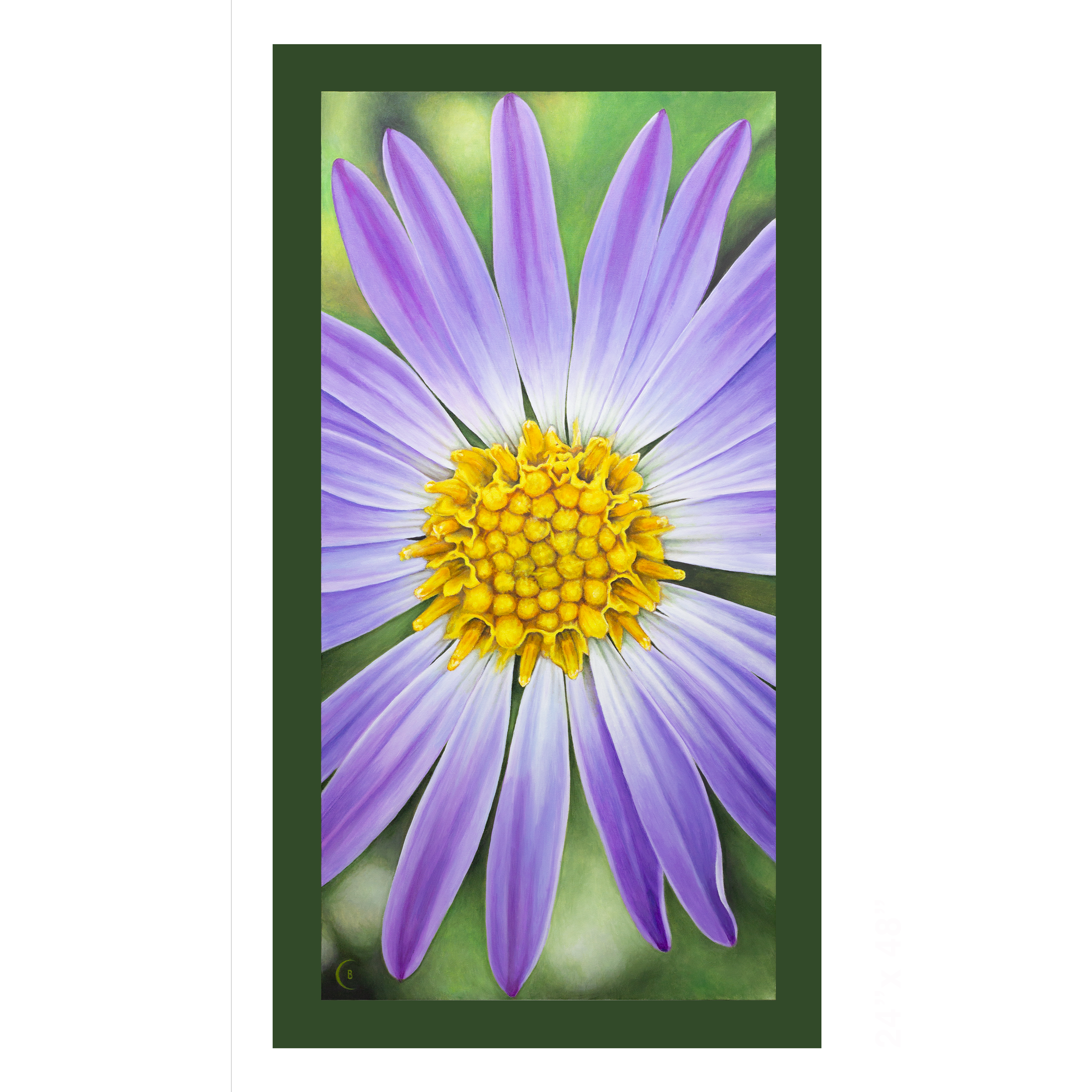 AAster-canvas-24x48.png