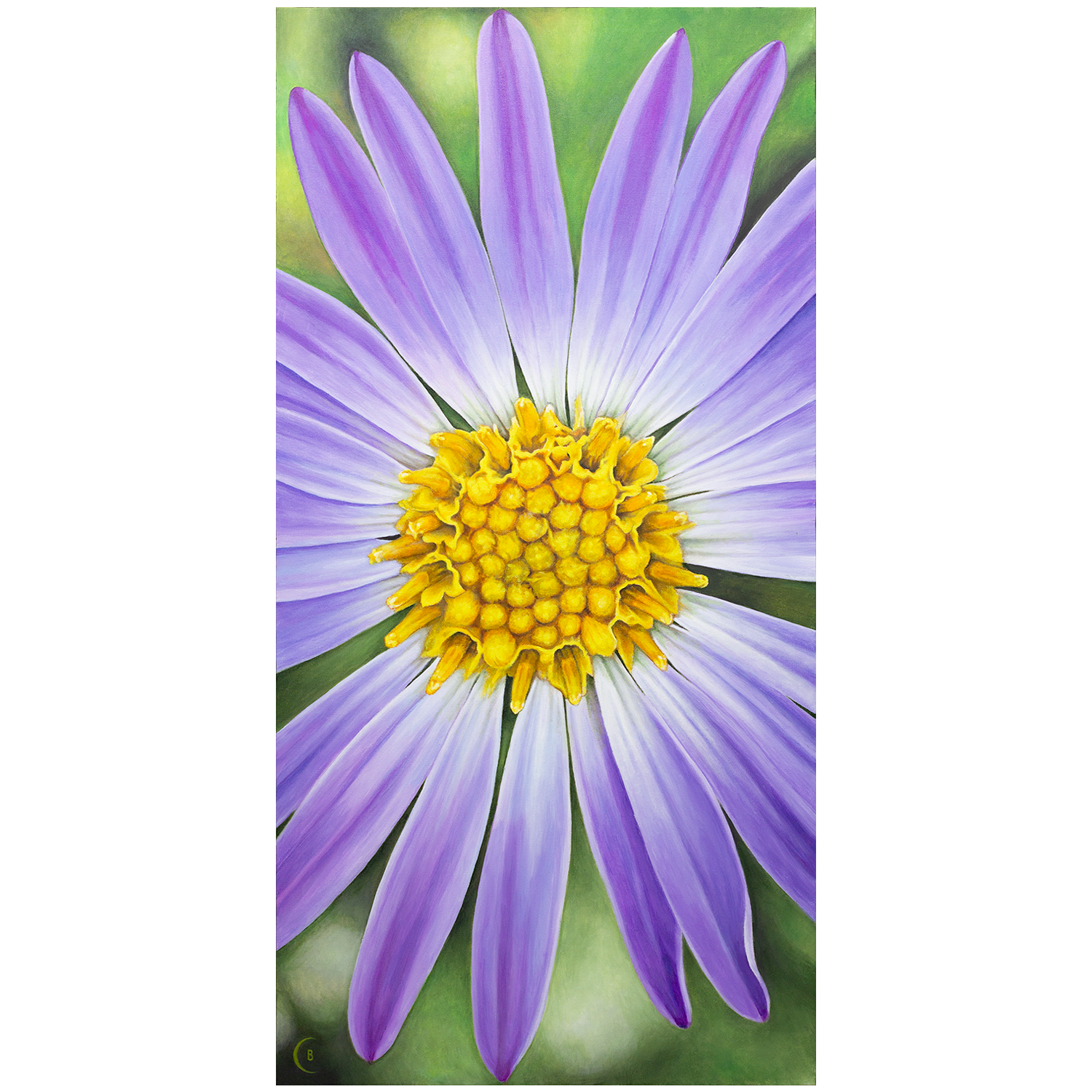 American Aster archival paper prints