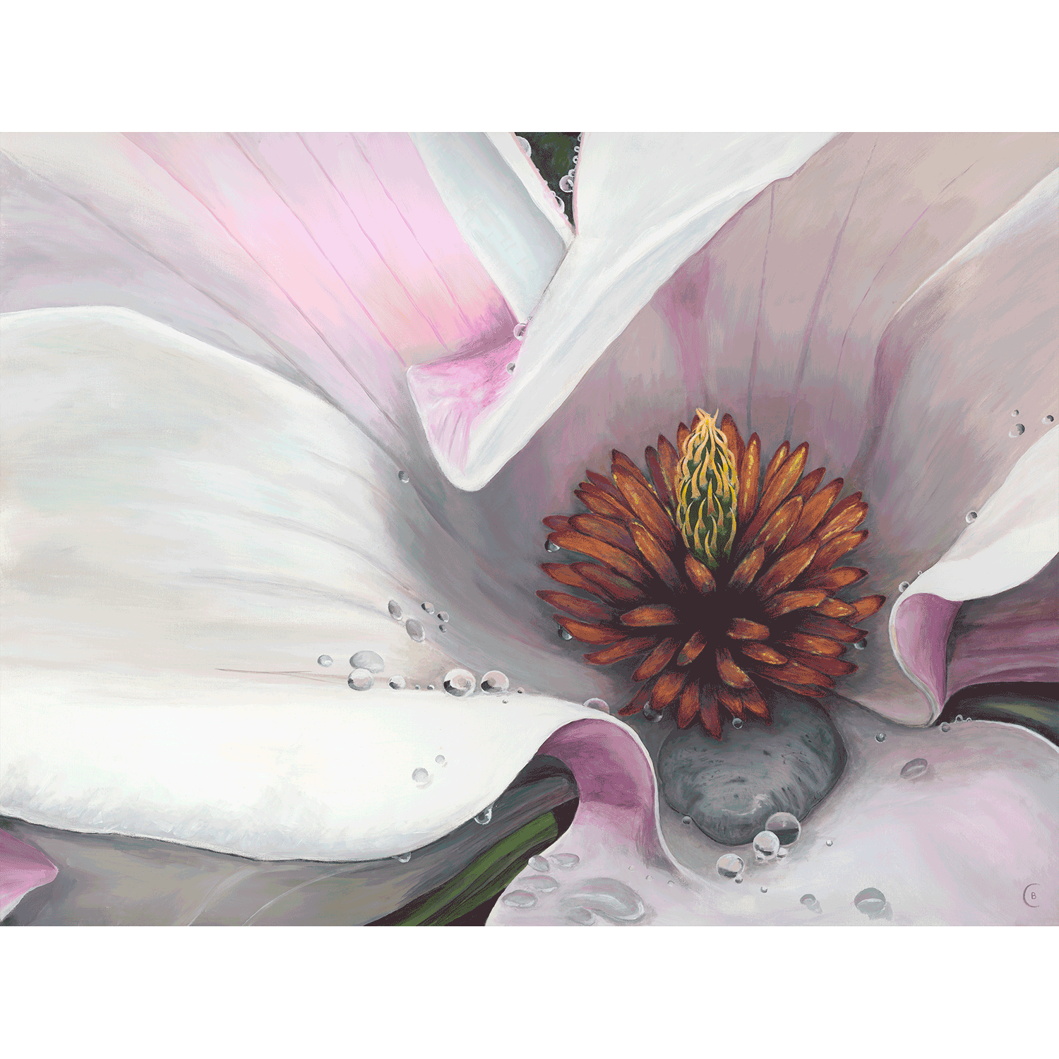 Central Park Magnolia premium canvas prints