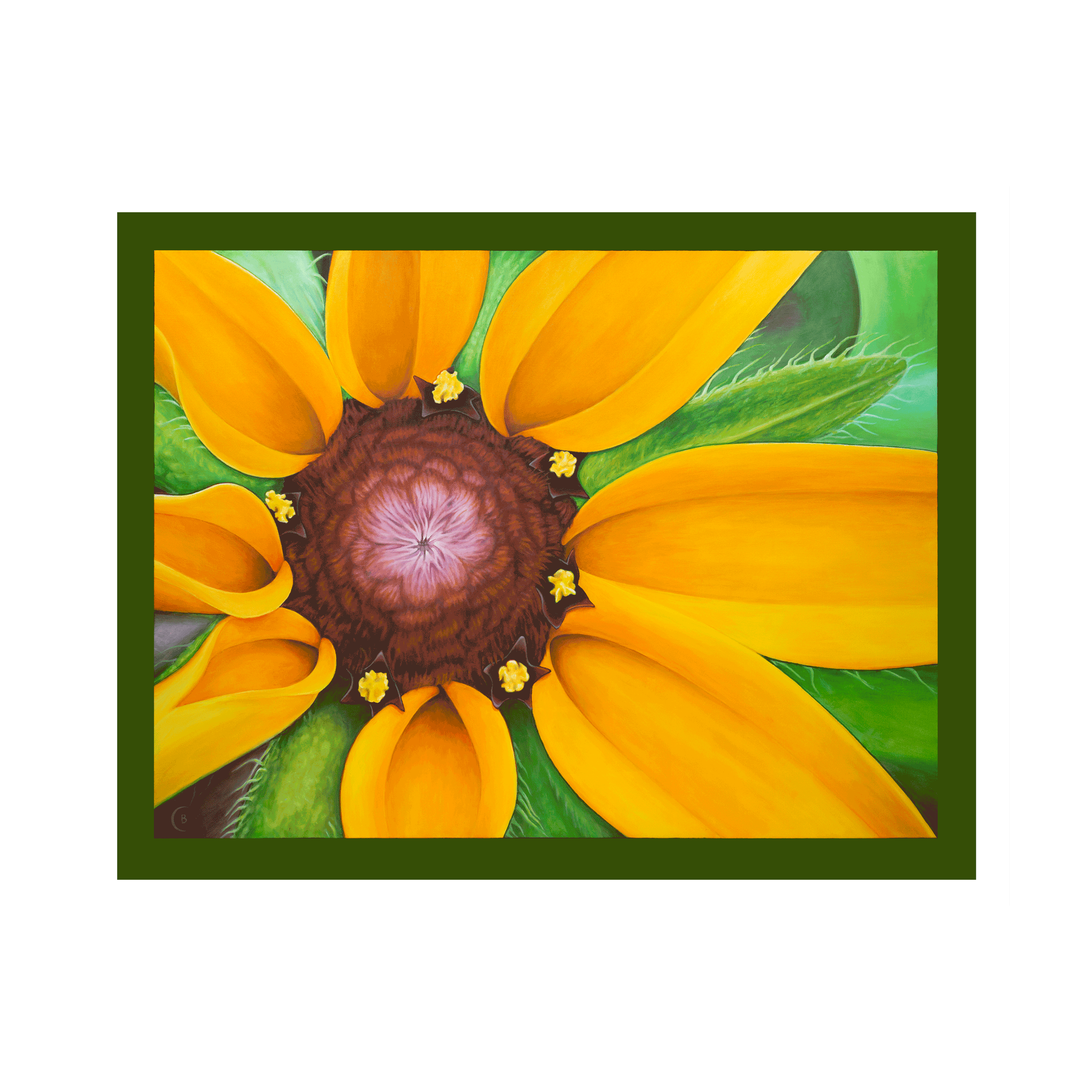 BlkEyedSusan-canvas-40x30.png