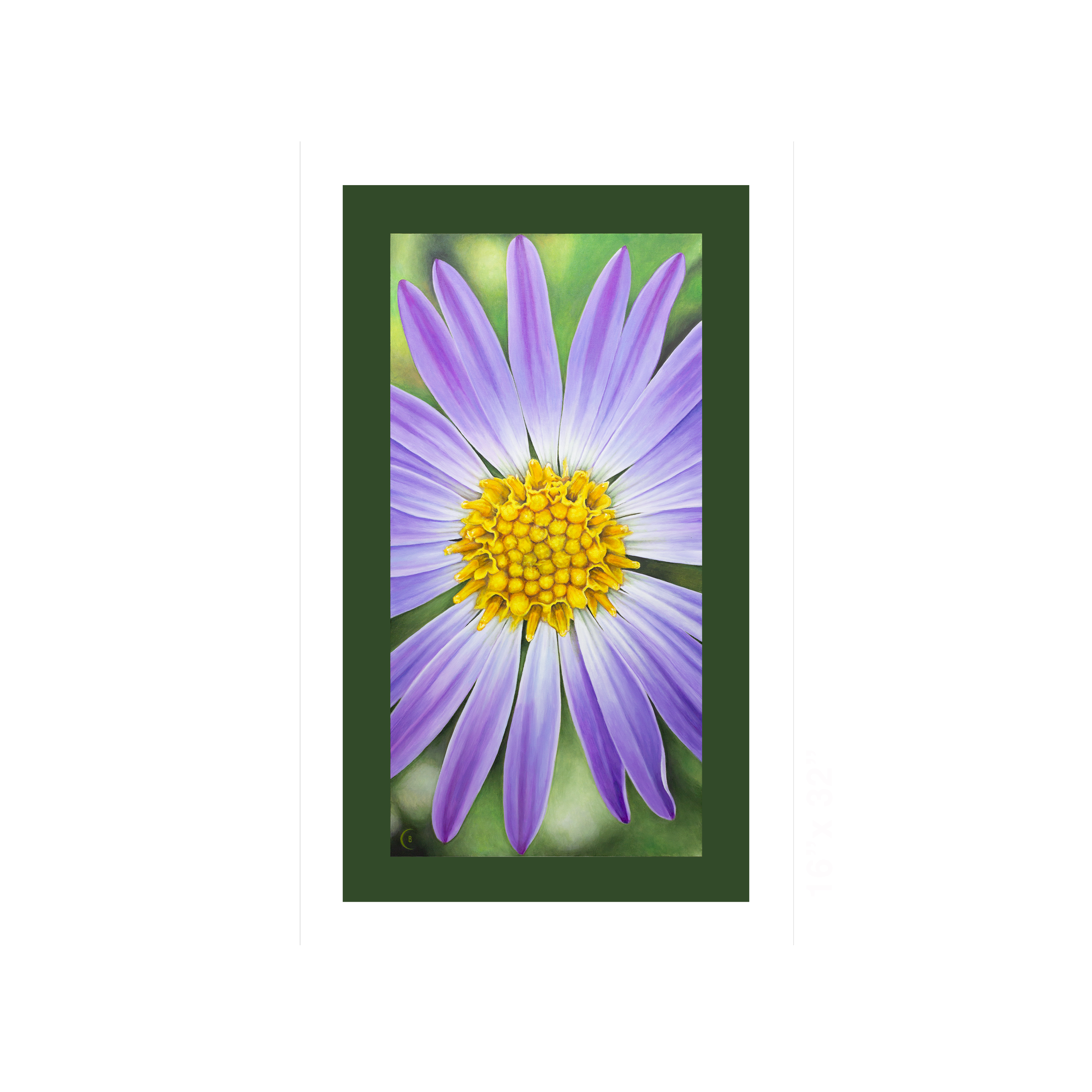 AAster-canvas-16x32.png